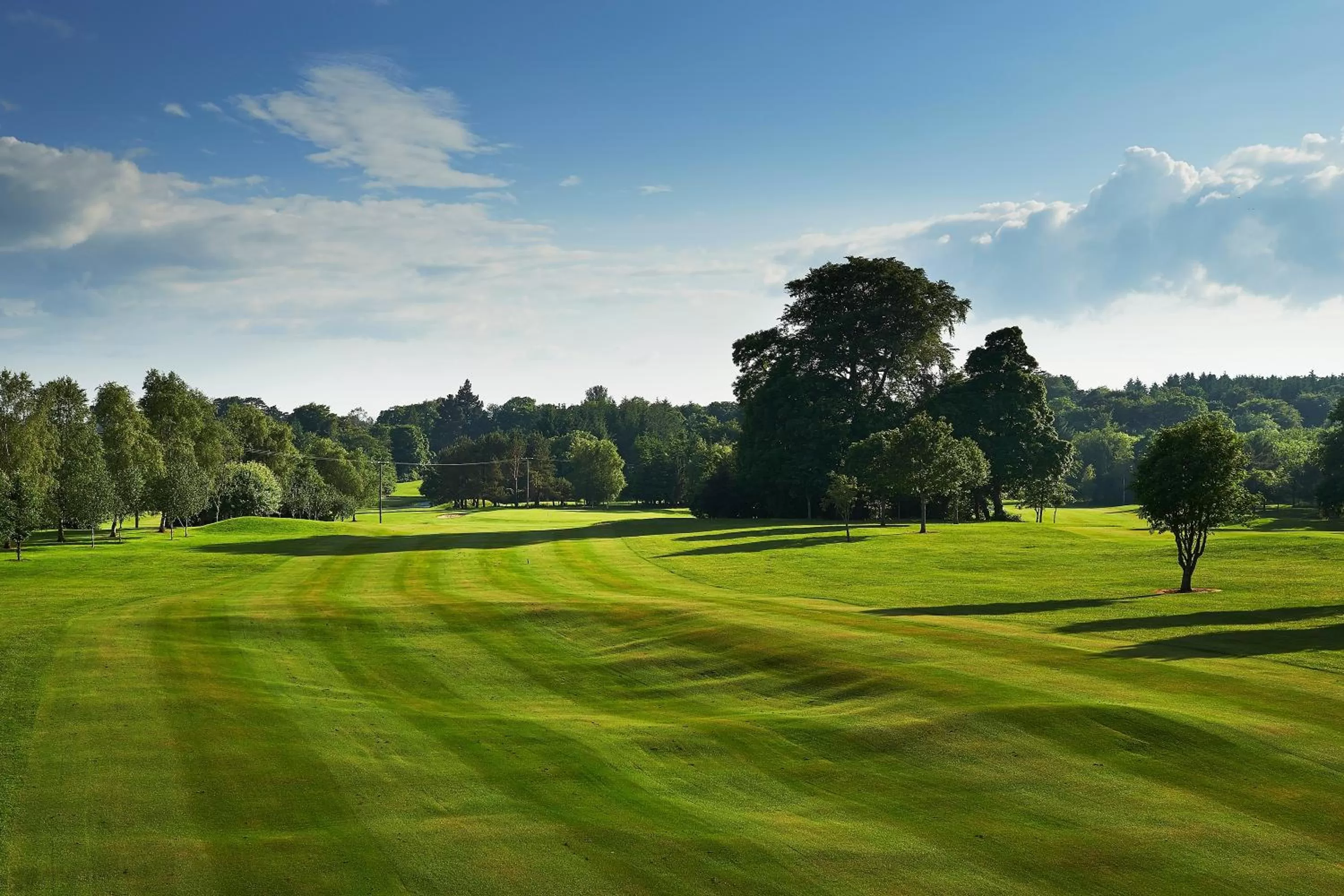 Golfcourse in Ballymascanlon Hotel and Golf Resort