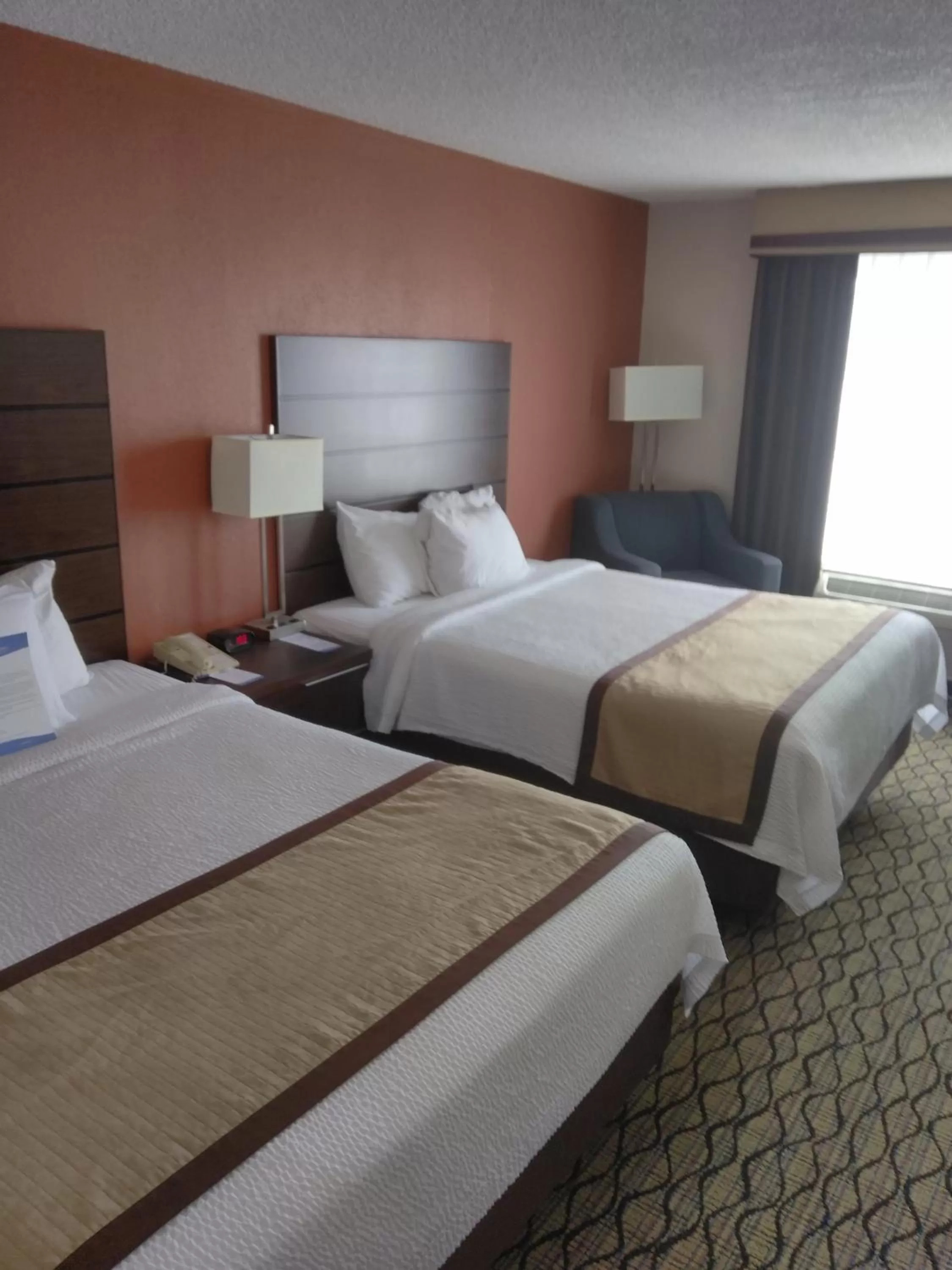 View (from property/room), Bed in Baymont by Wyndham Madison Heights Detroit Area