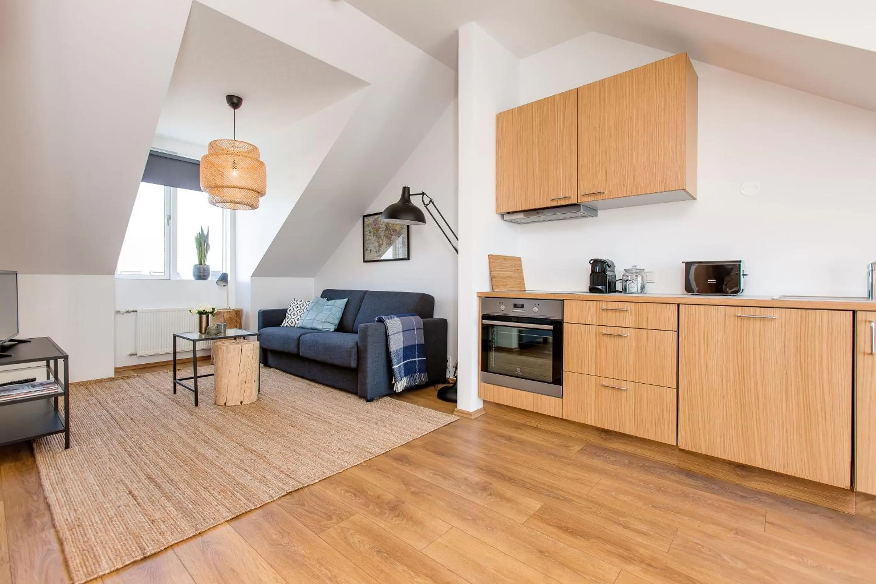 Kitchen or kitchenette in Tyr Apartments by Heimaleiga