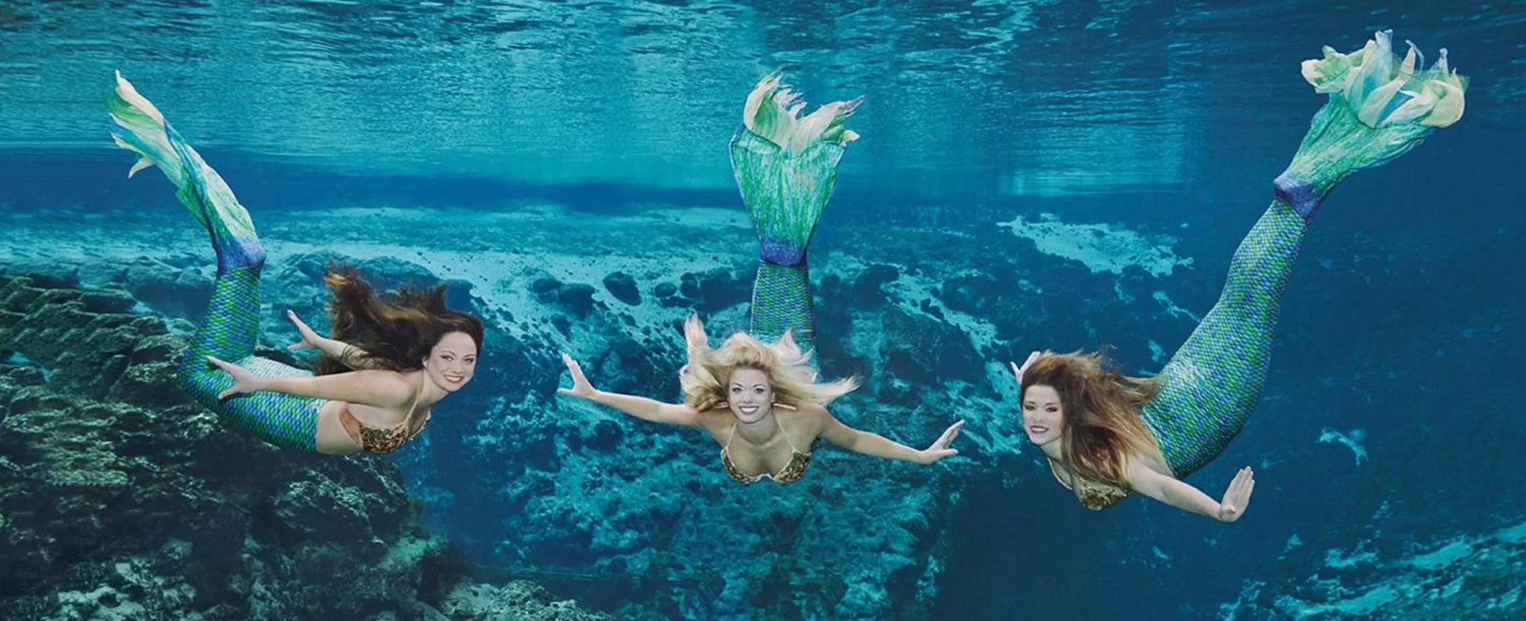 Area and facilities in Holiday Inn Express & Suites Trinity by IHG