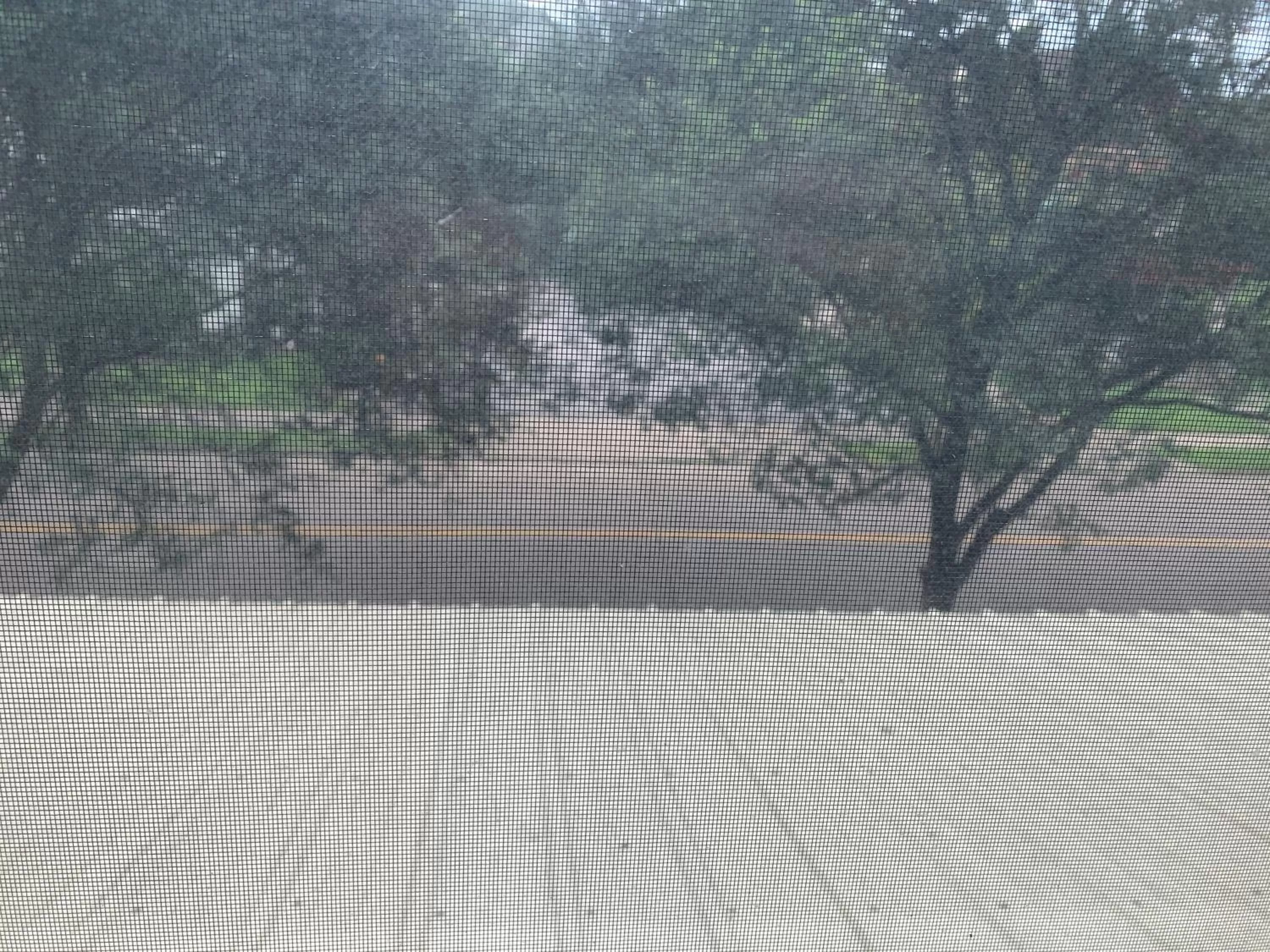 View (from property/room) in Bayberry House Bed and Breakfast