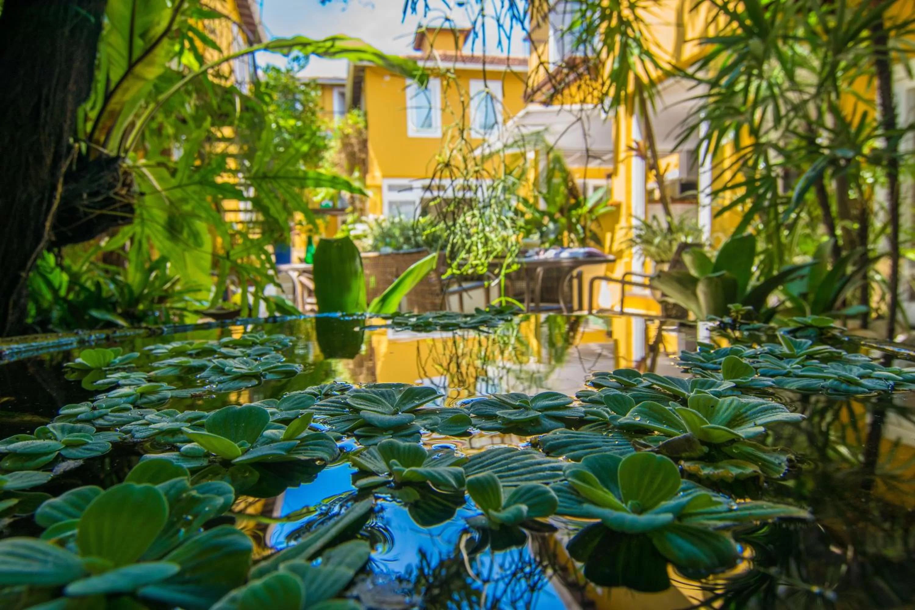 Garden in La Chimère Buzios Essence