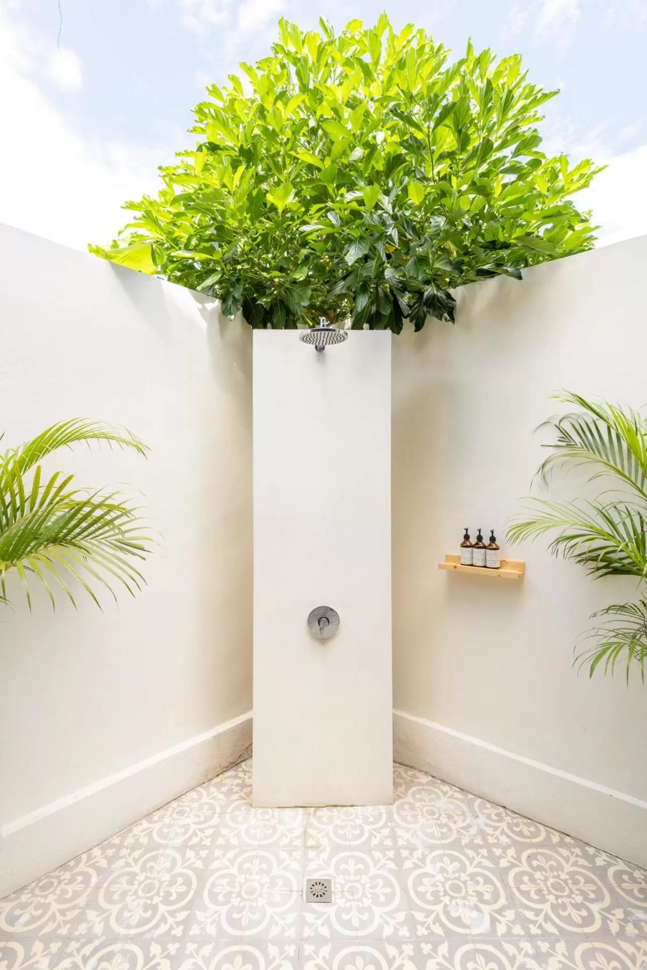 Shower in Tigerlillys Boutique Hotel