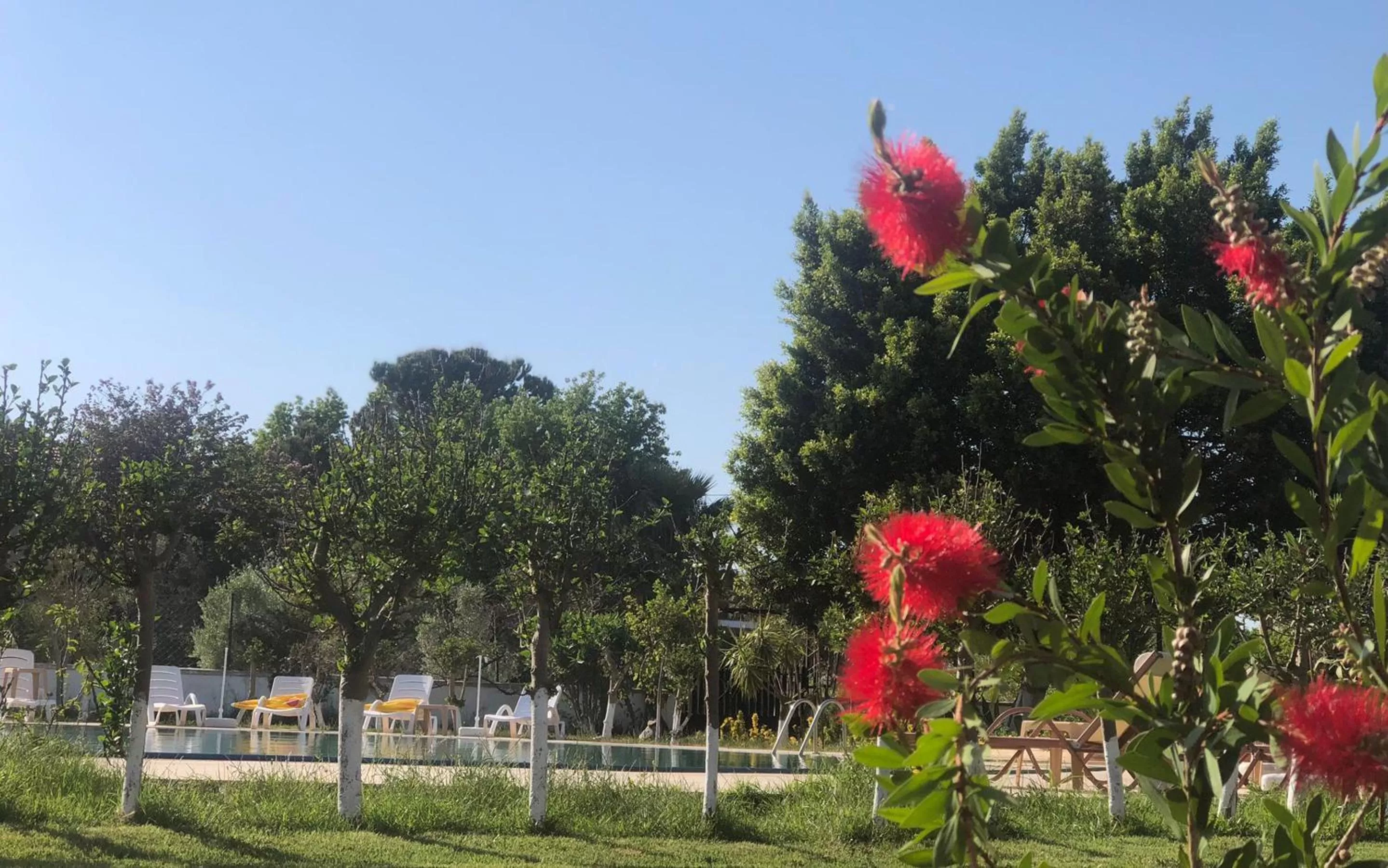 Garden in Hotel Palme Dalyan