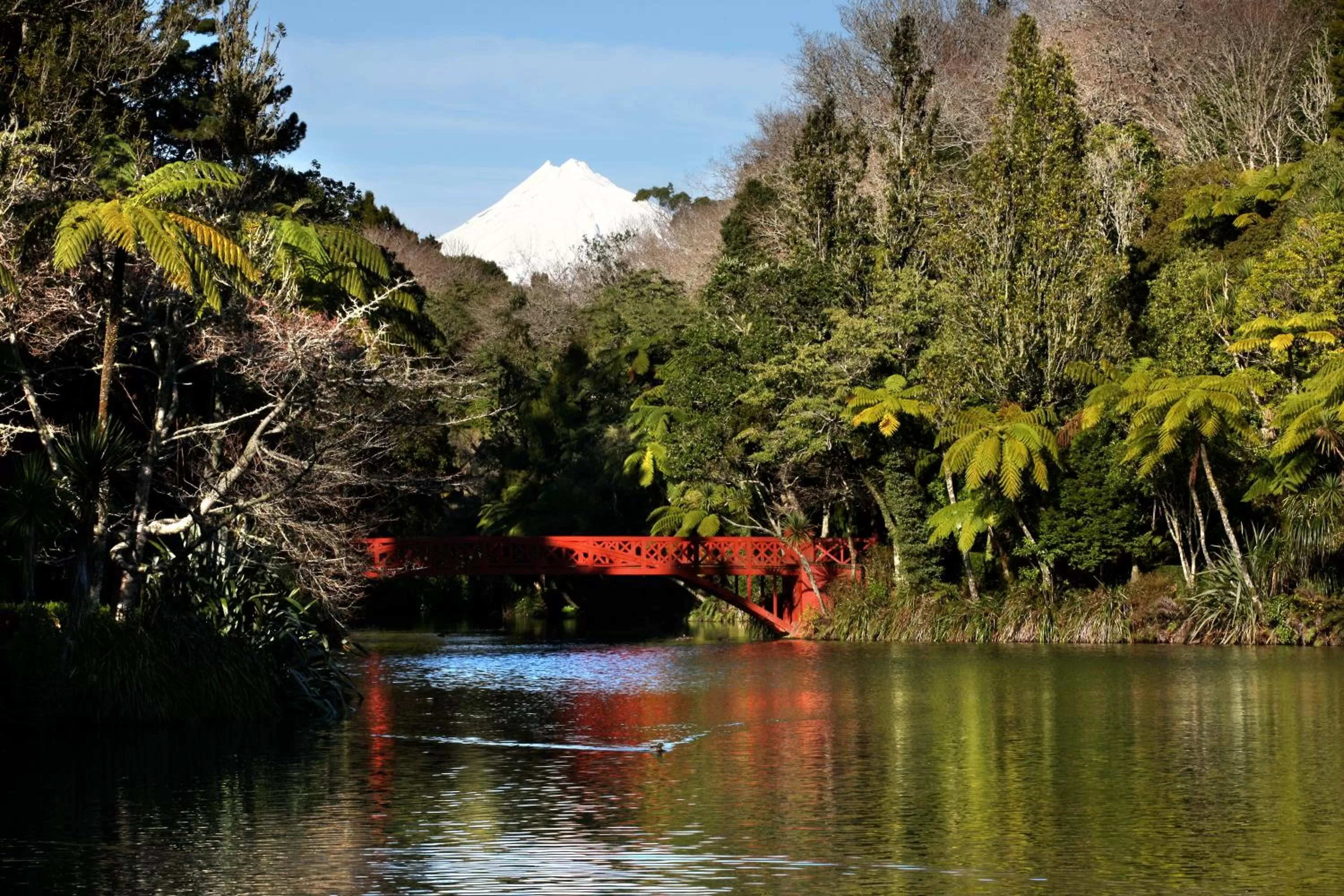 Activities in Distinction New Plymouth Hotel