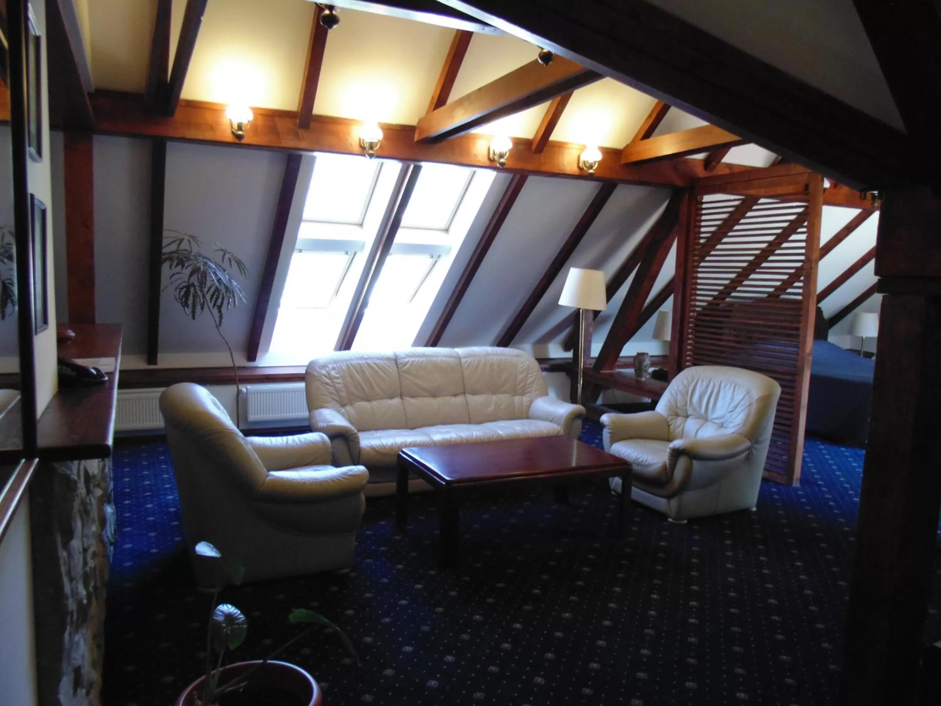 Living room in Curtea Brasoveana