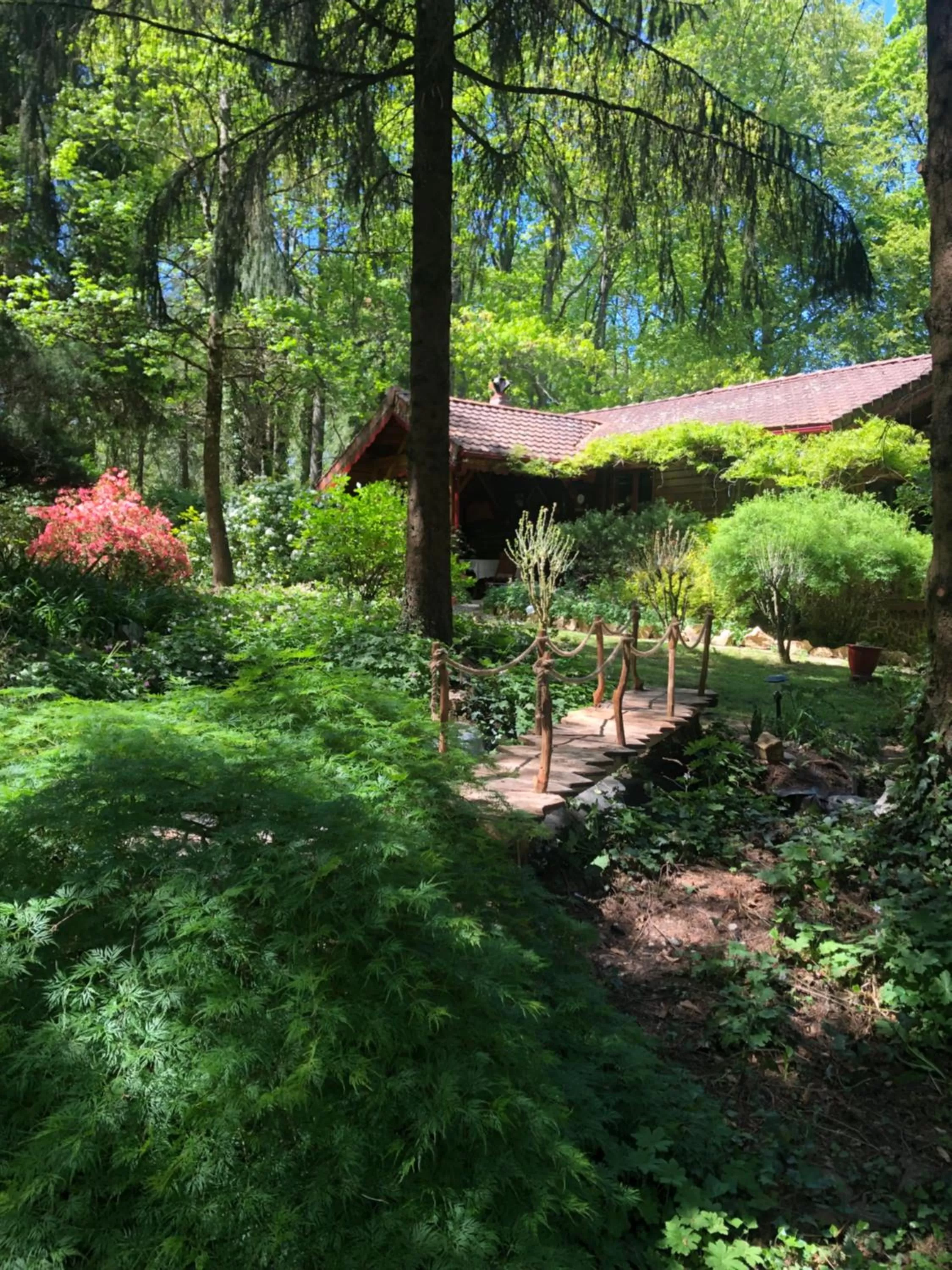 Garden in Chambre d'hôte txaleta (le Chalet)