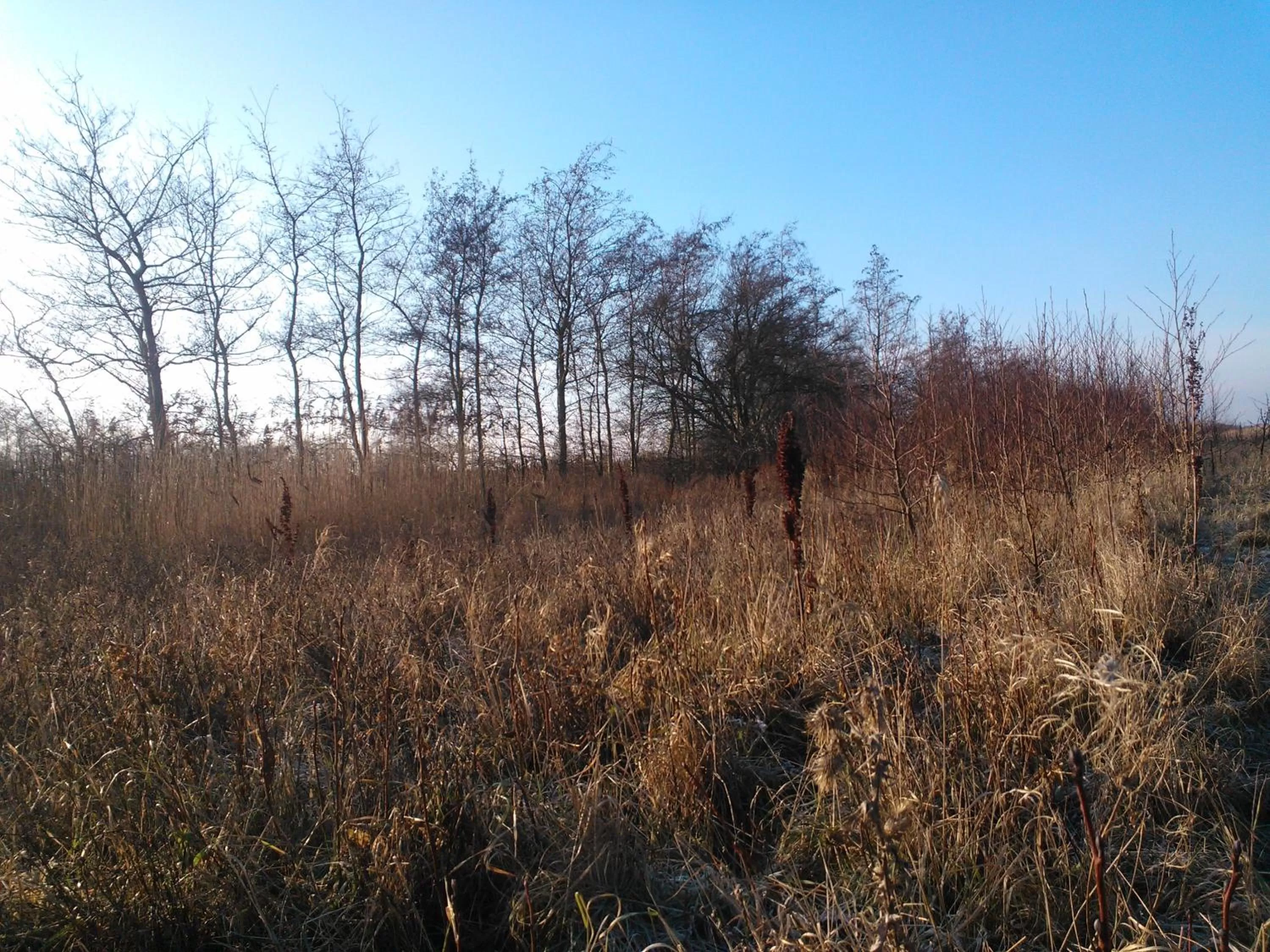 Holmehuset Bed & Breakfast