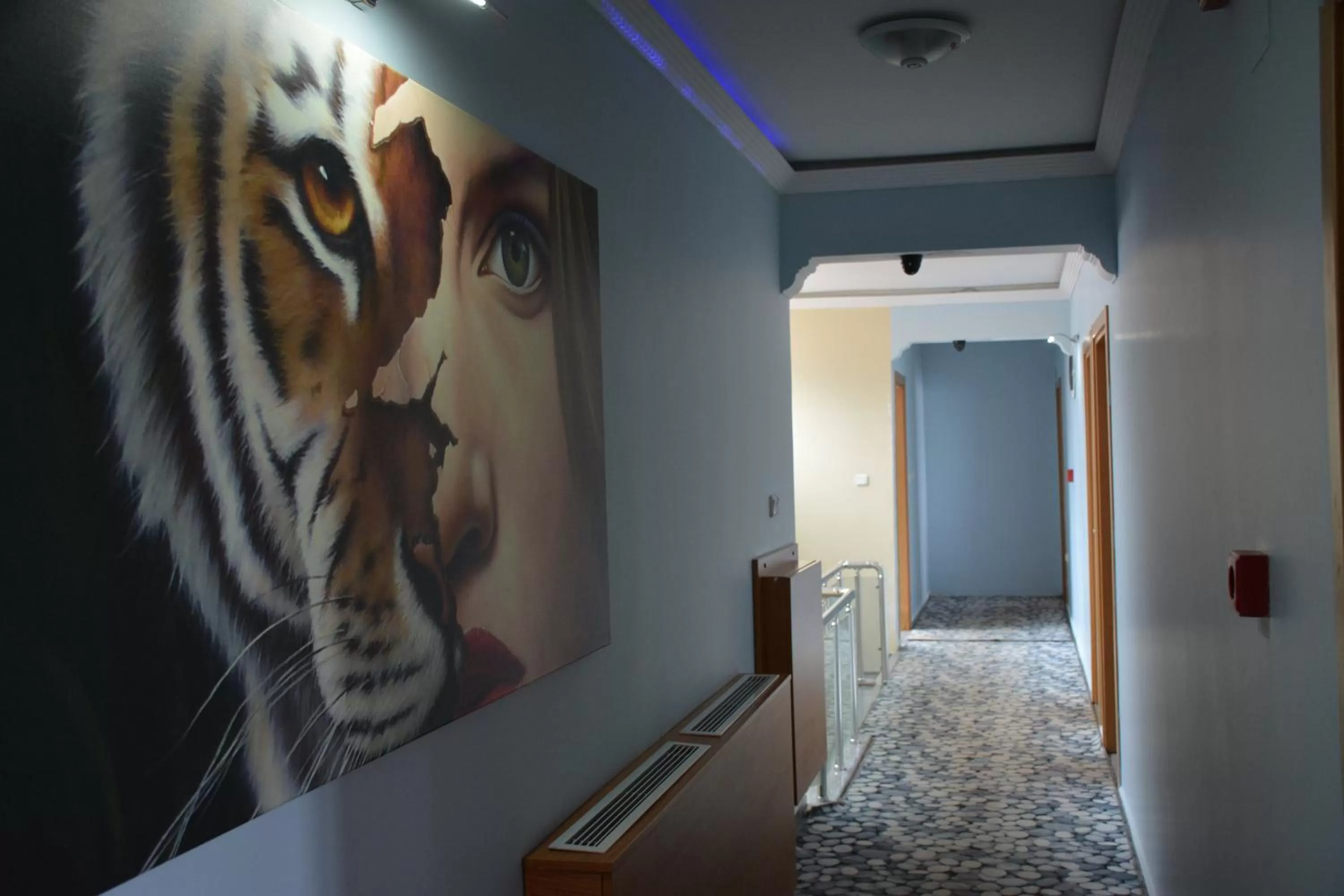 Natural landscape in Hopa Heyamo Hotel