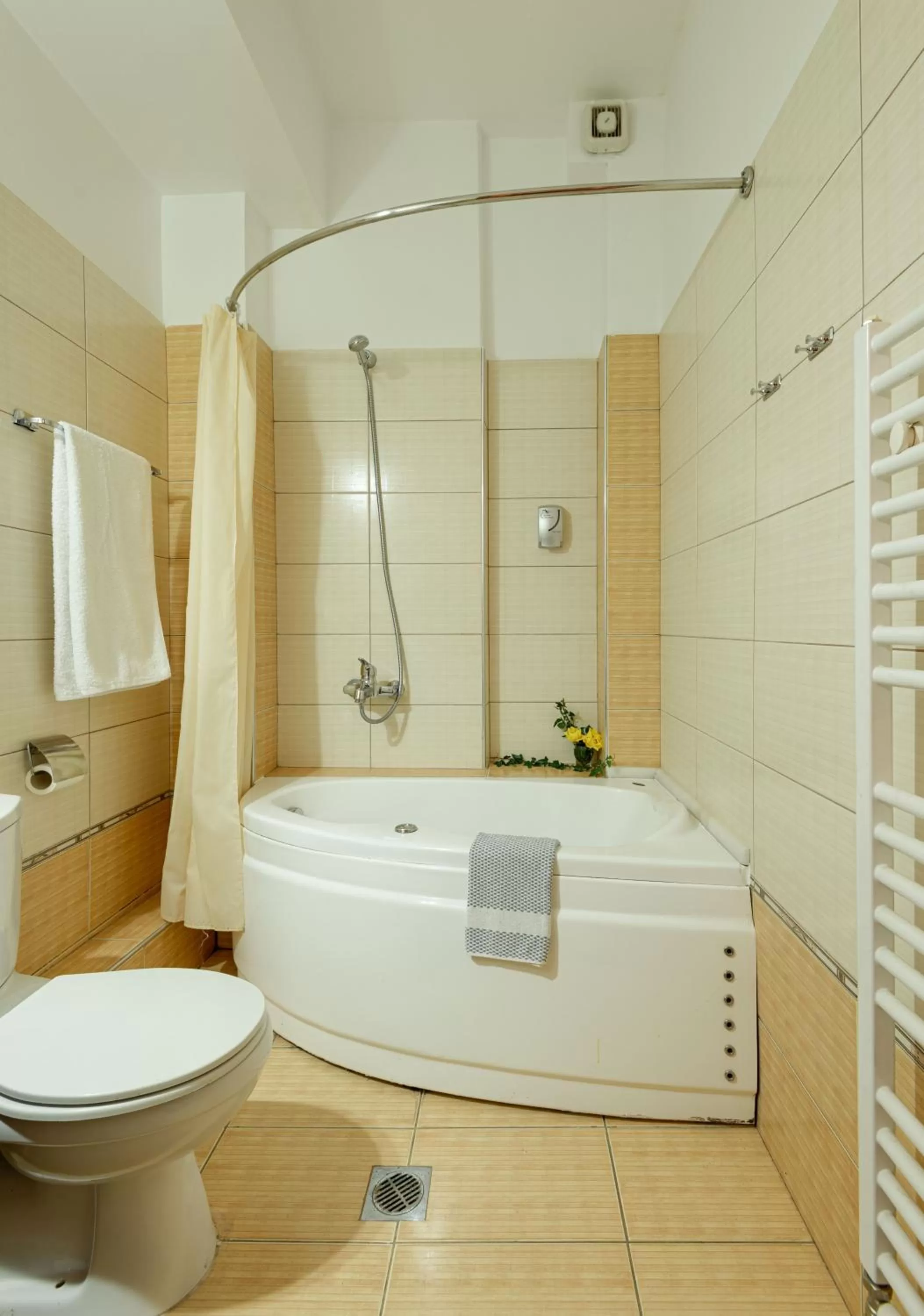 Bathroom in Dimosthenis