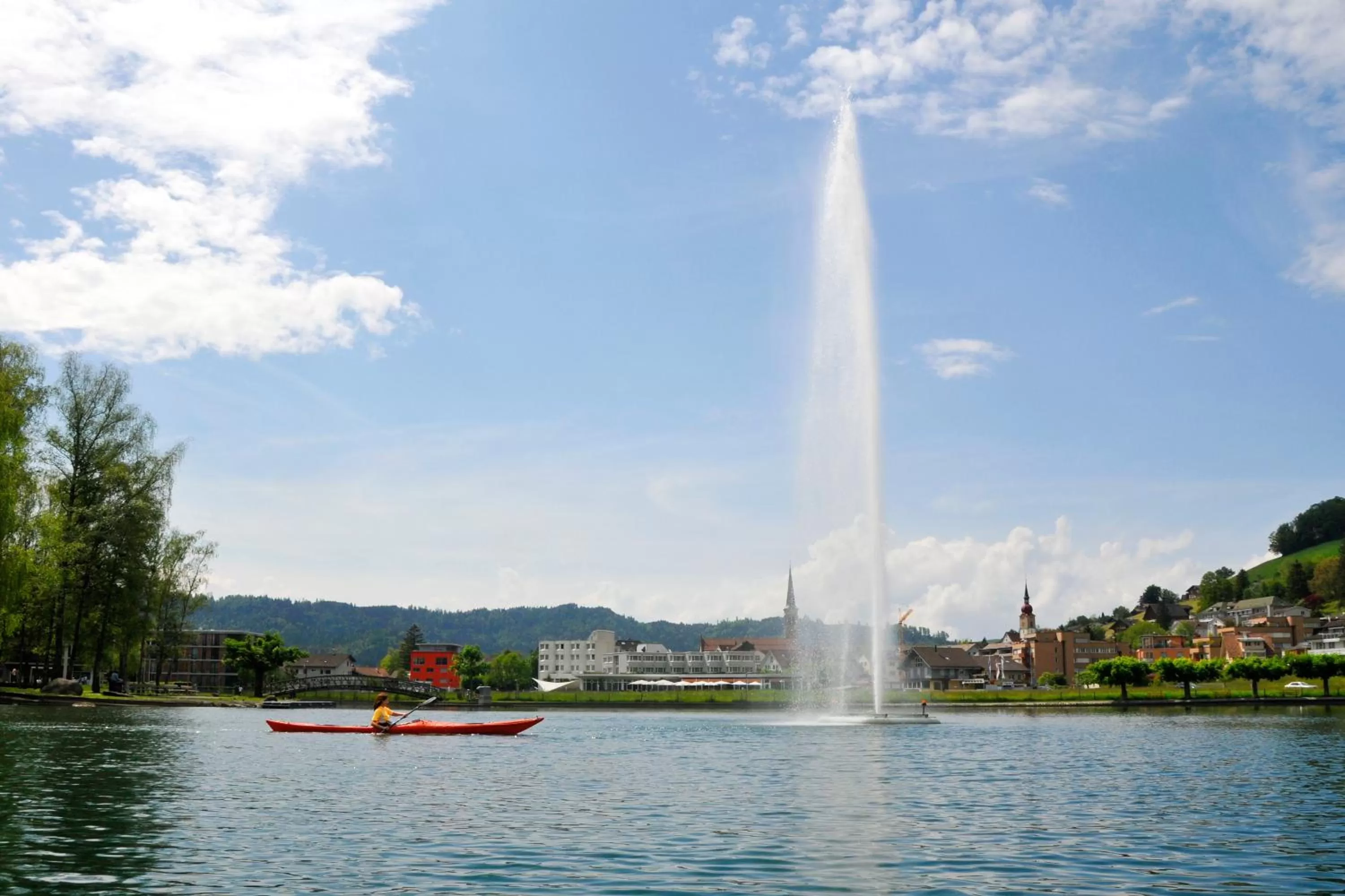 Garden in SeminarHotel am Ägerisee