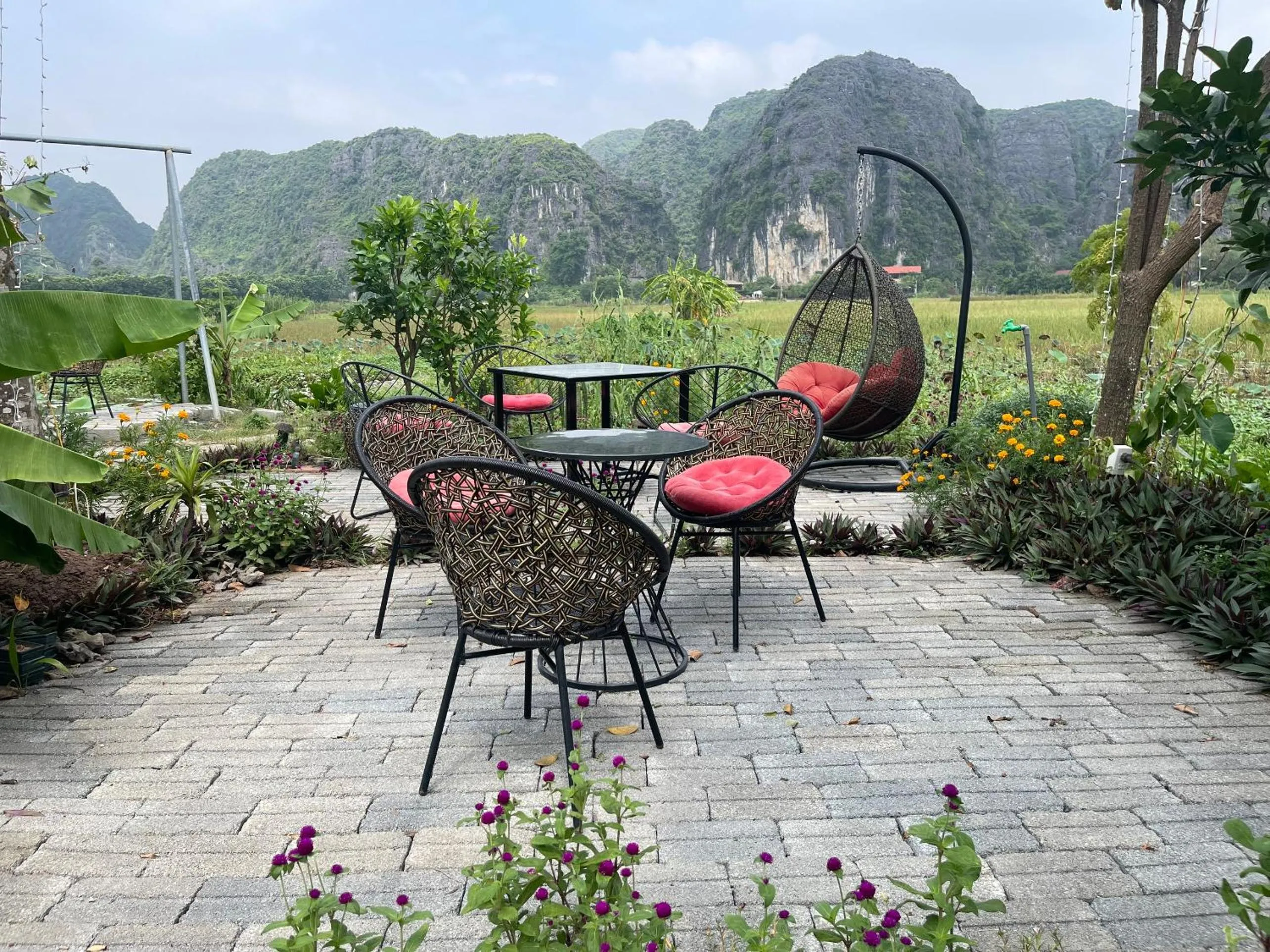 Tam Coc Mountain View Homestay