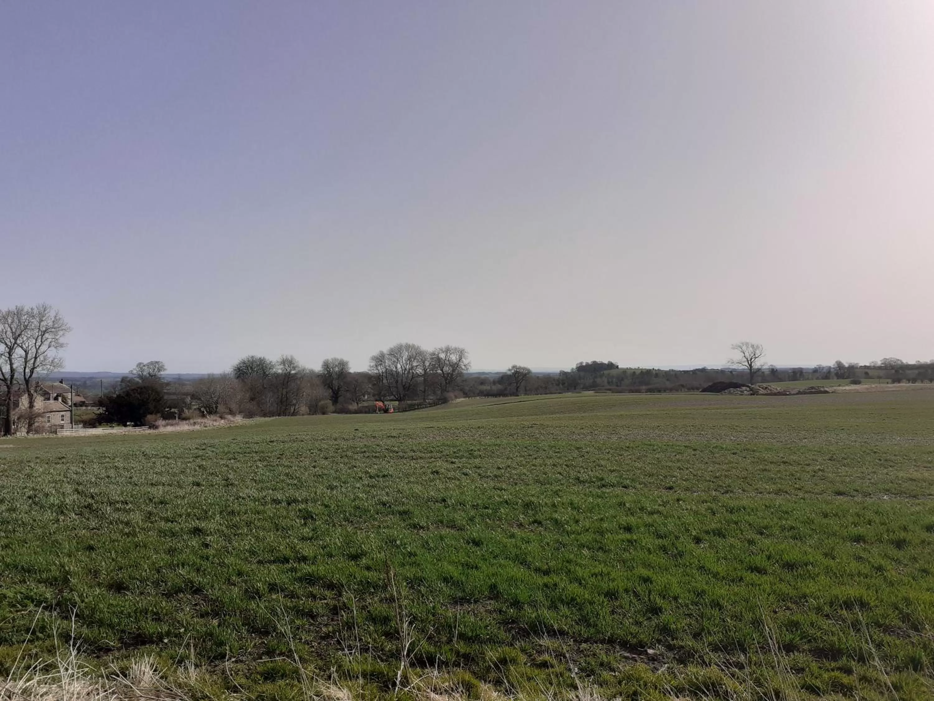 Garden, Natural Landscape in Lily Hill Farm