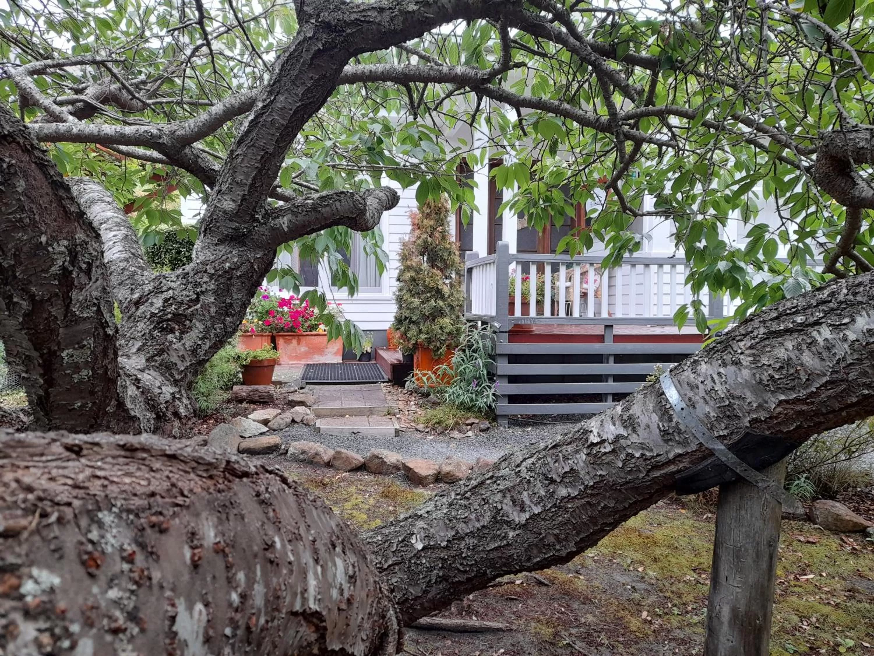 Hillside Bed and Breakfast