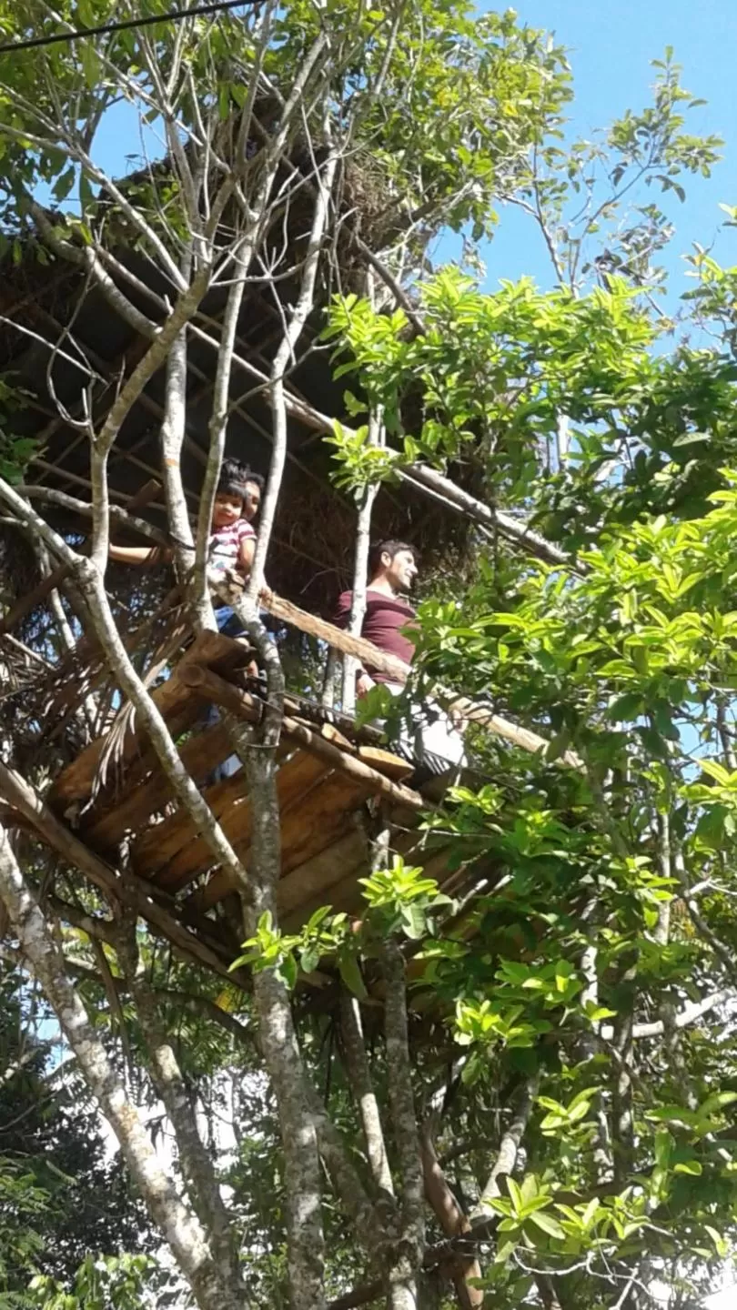 Property building in Malithis lodge