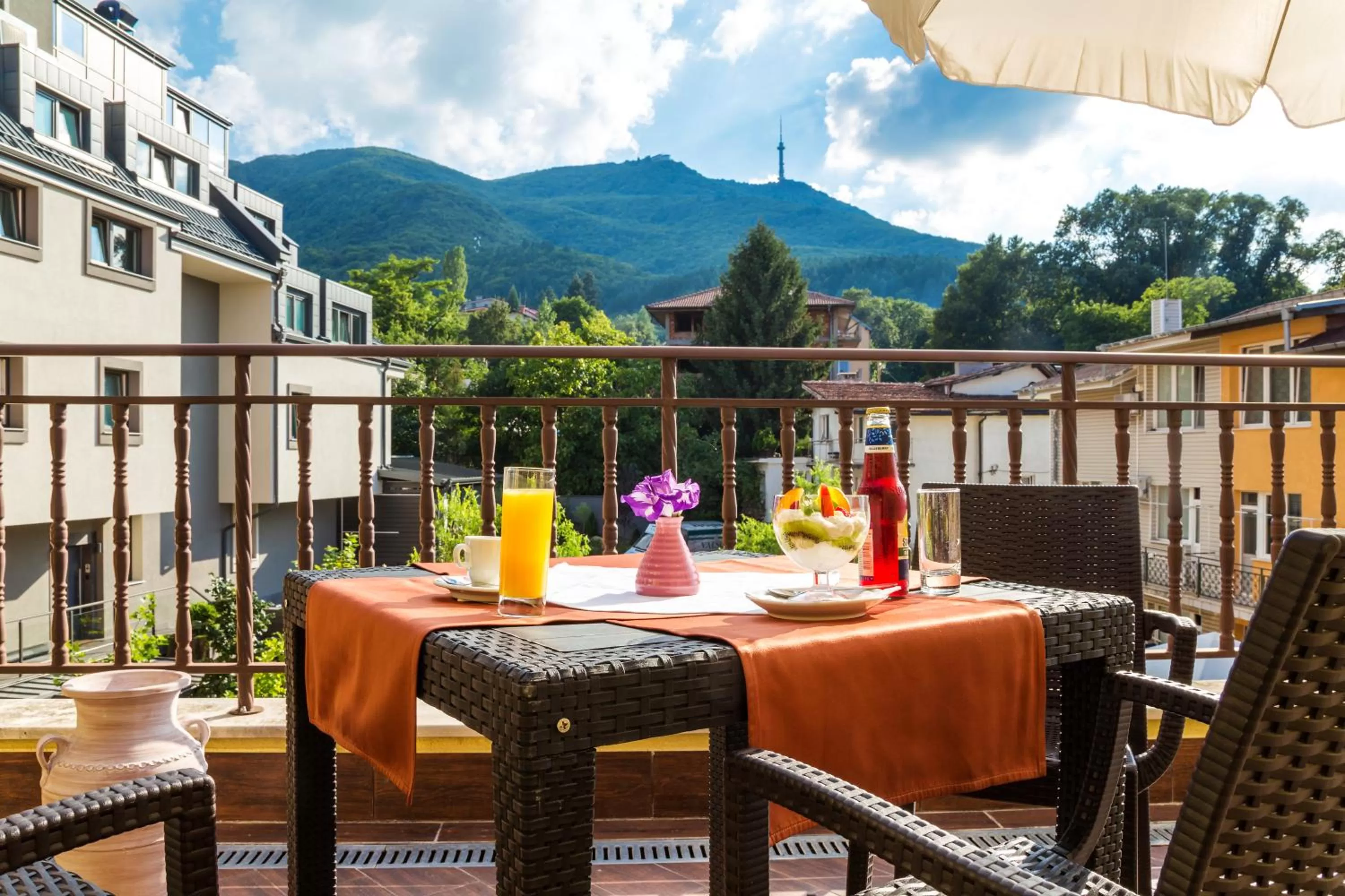 Mountain view in Hotel Villa Boyana - Free Parking