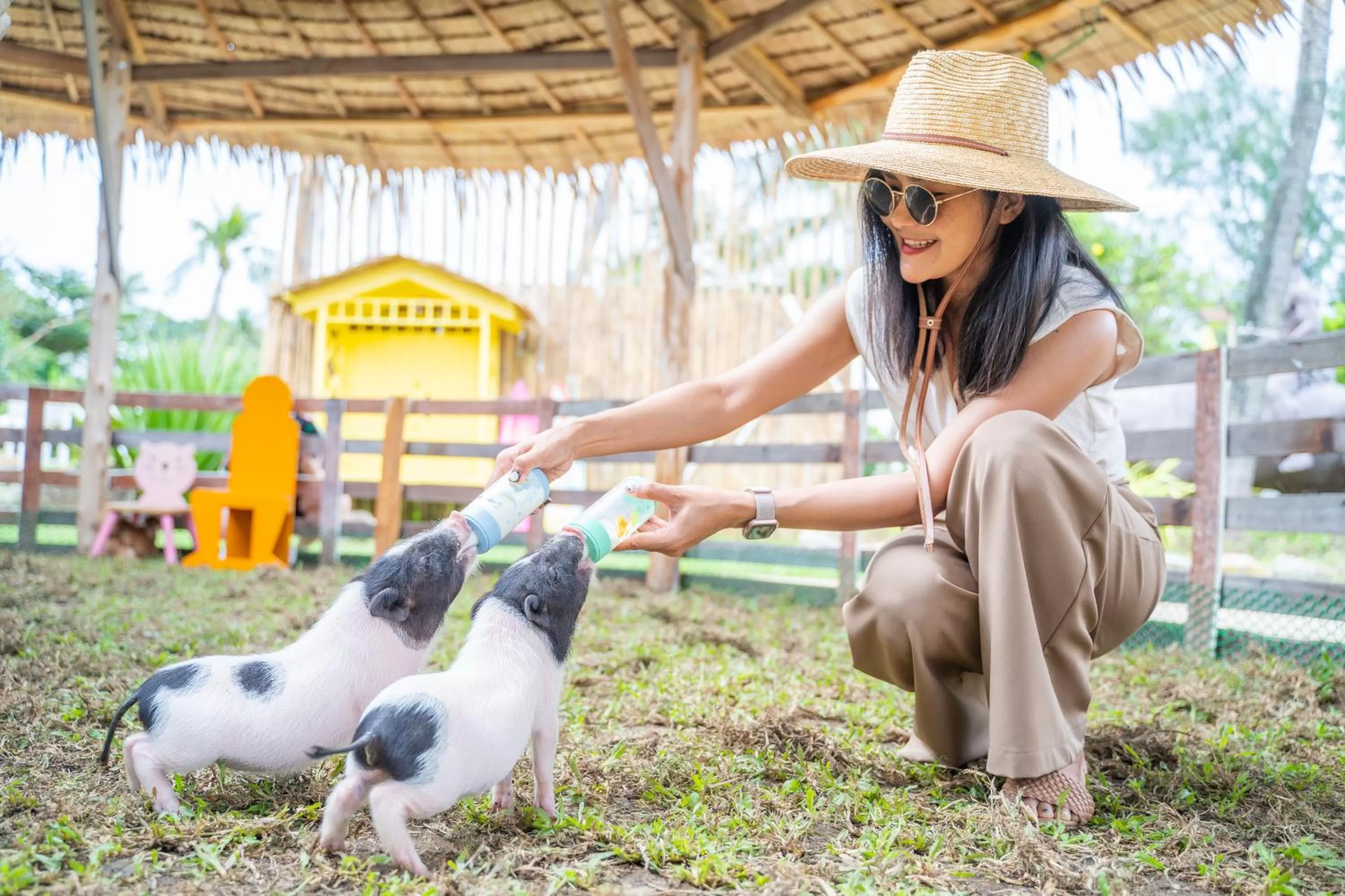 Day in Thavorn Palm Beach Resort Phuket