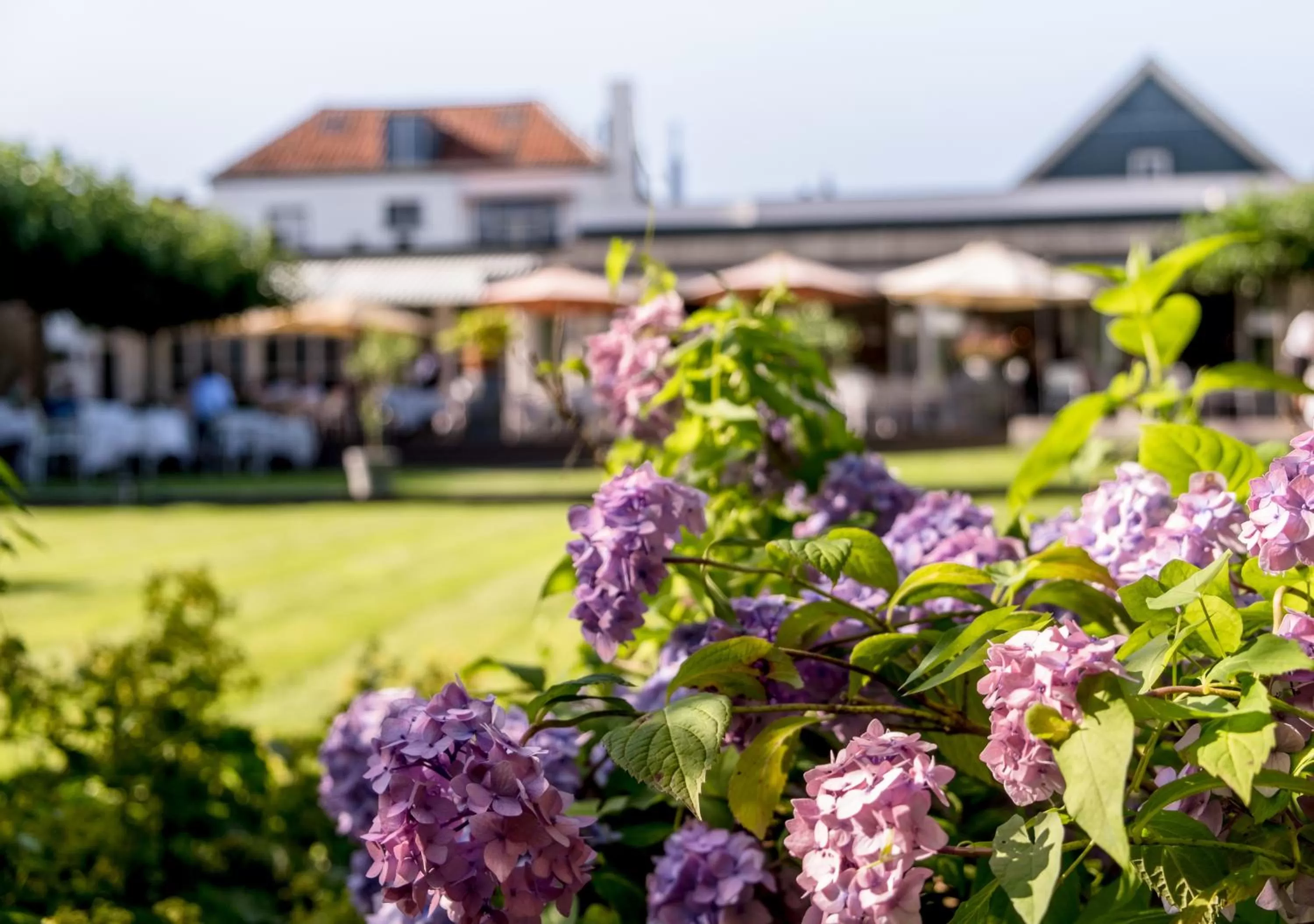 Property building in Hotel Bakker