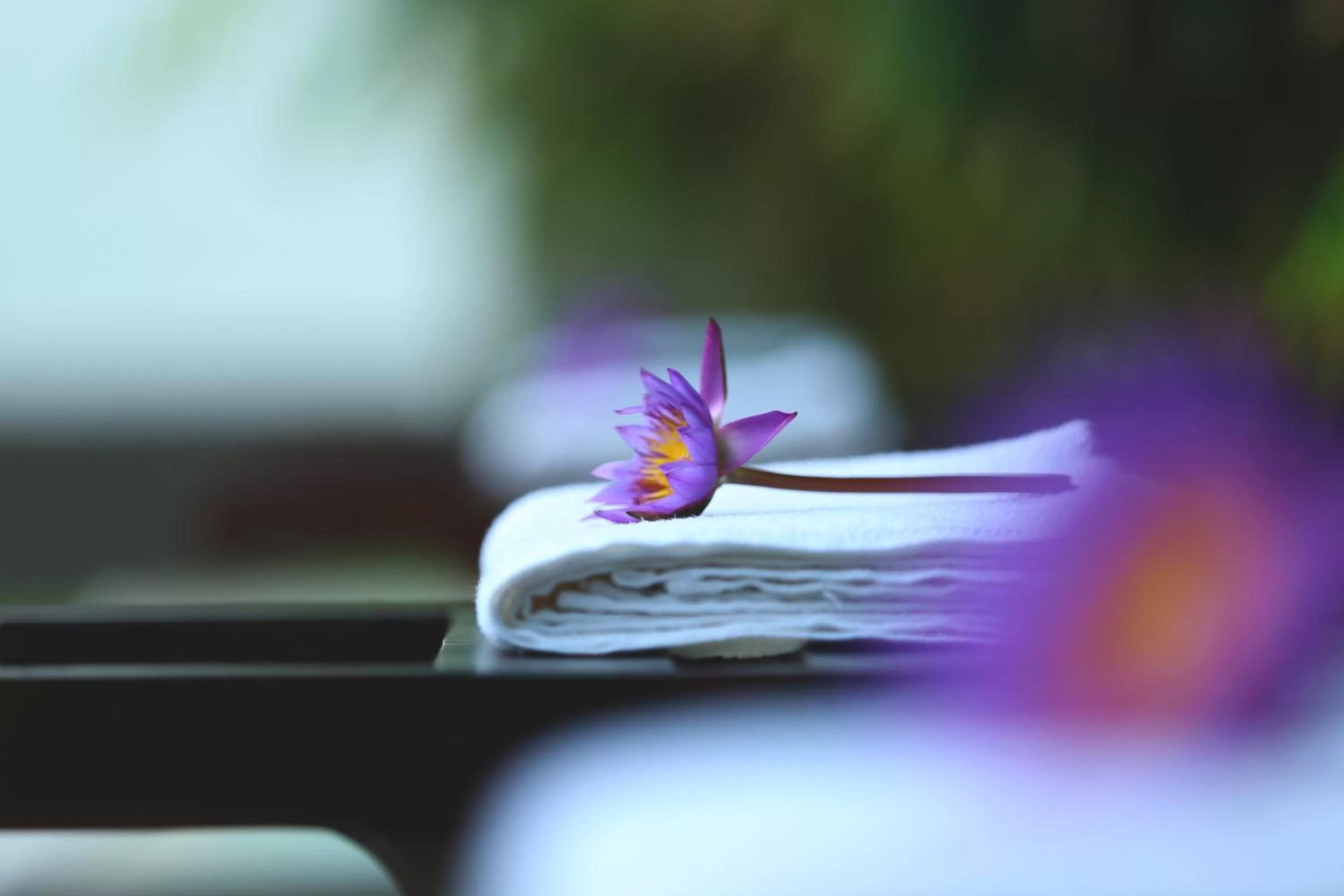 Garden in Kaminrich Cottage