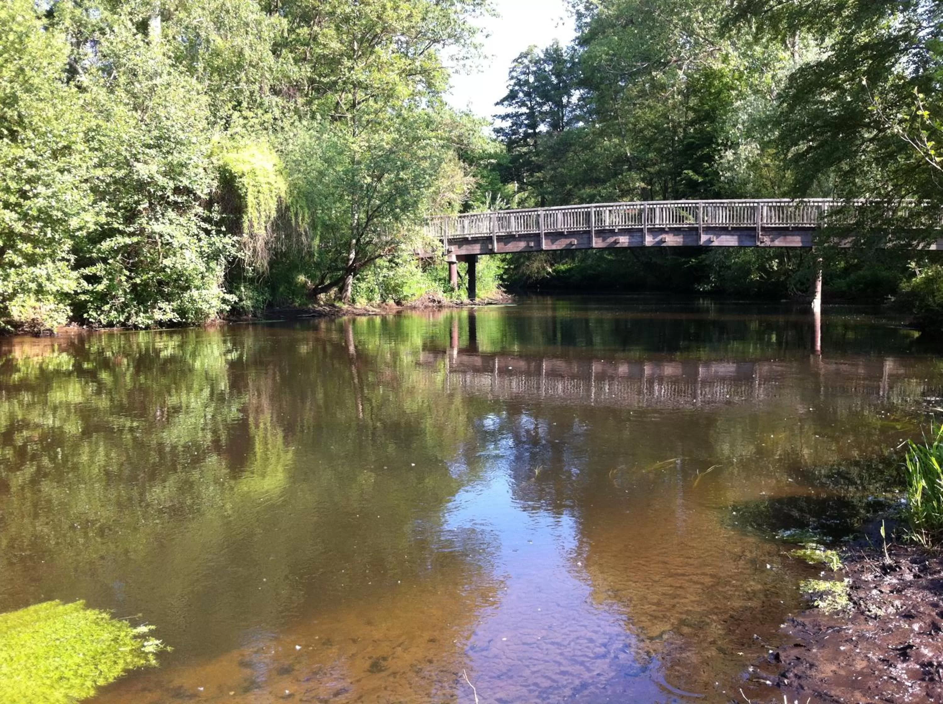 Hiking in Akzent Hotel Berlin