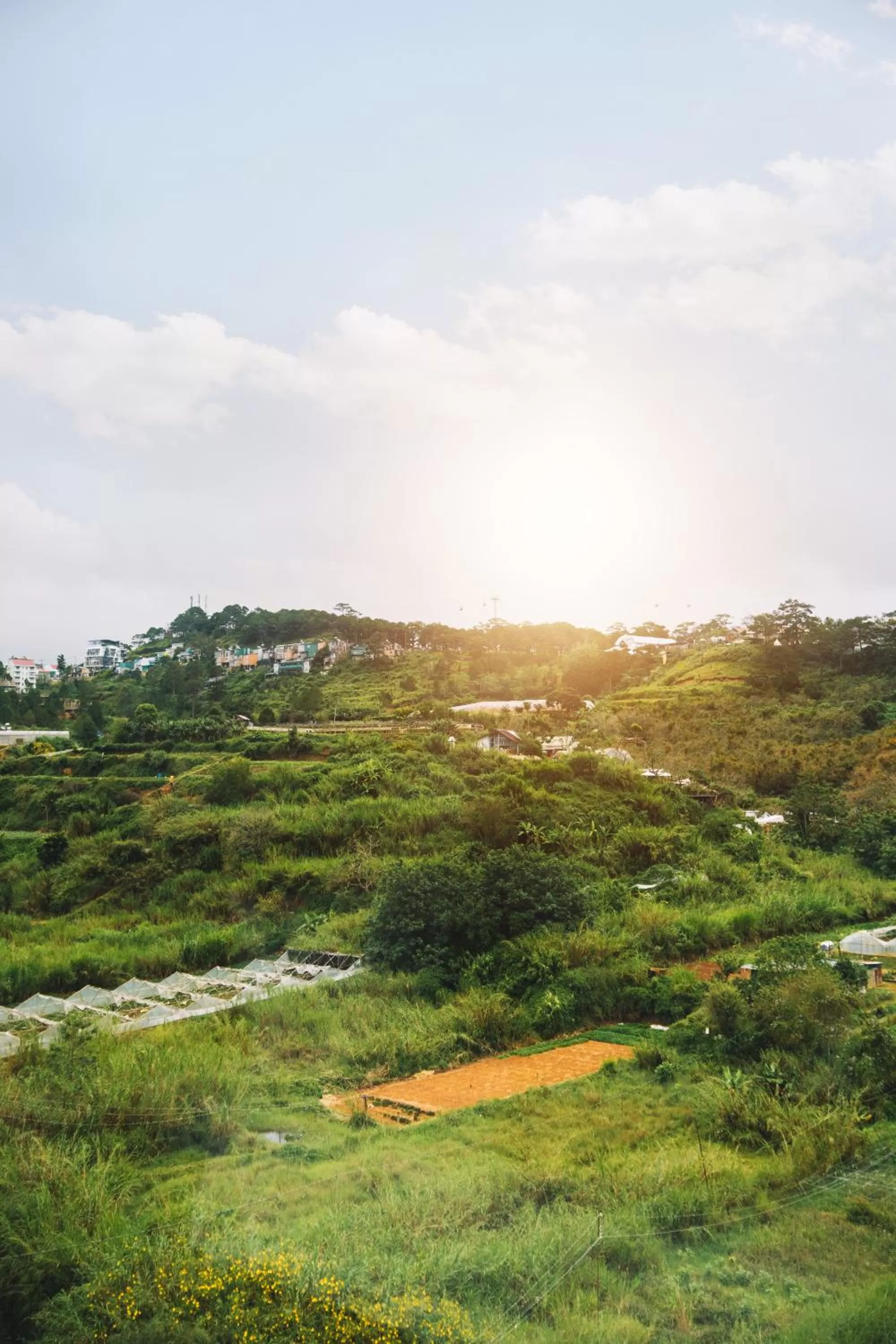 Property building in GREENECO DA LAT HOTEL - Khách sạn Green Eco Đà Lạt