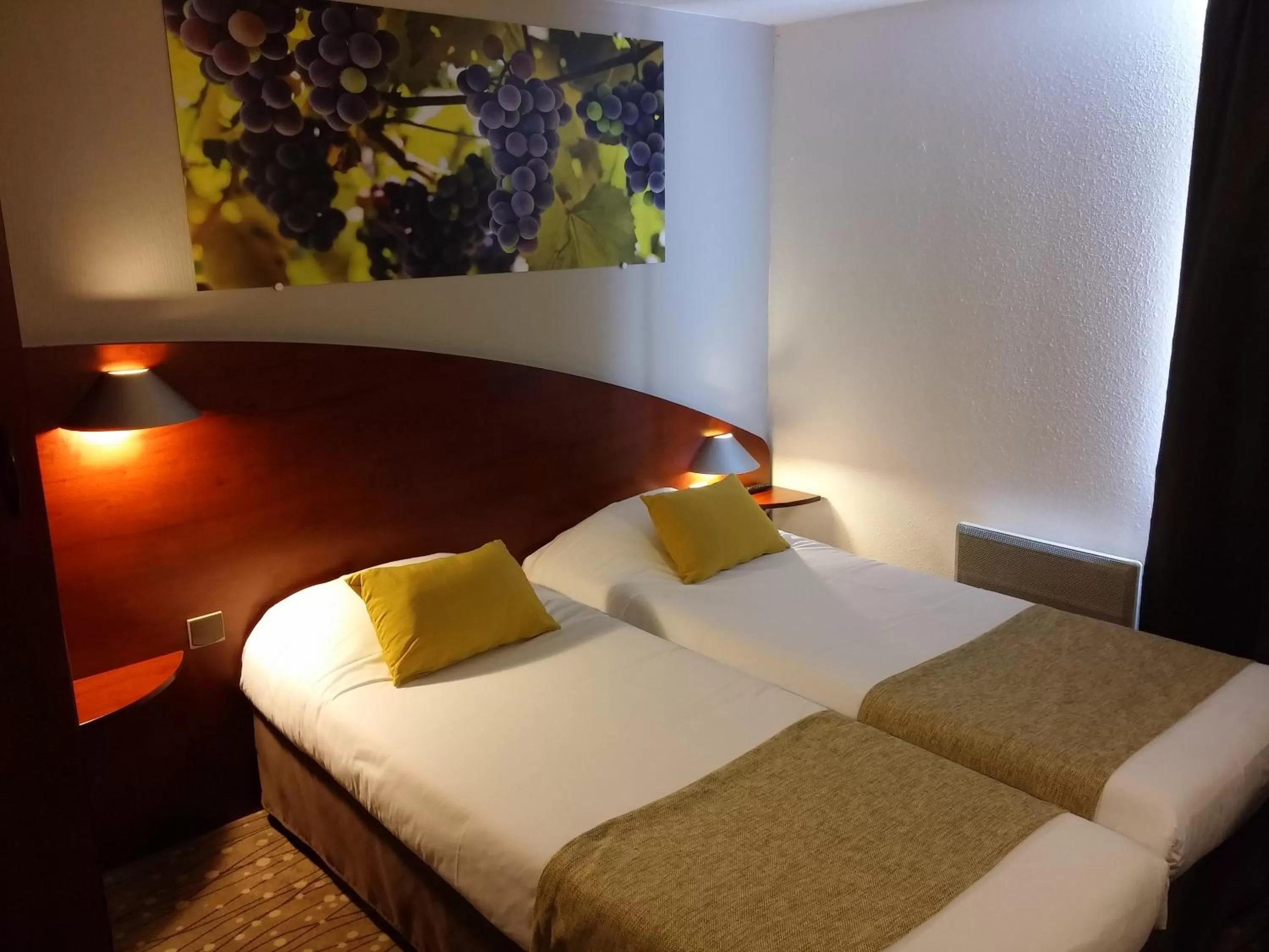 Twin Room in Contact Hôtel Le Provençal Bordeaux Lac