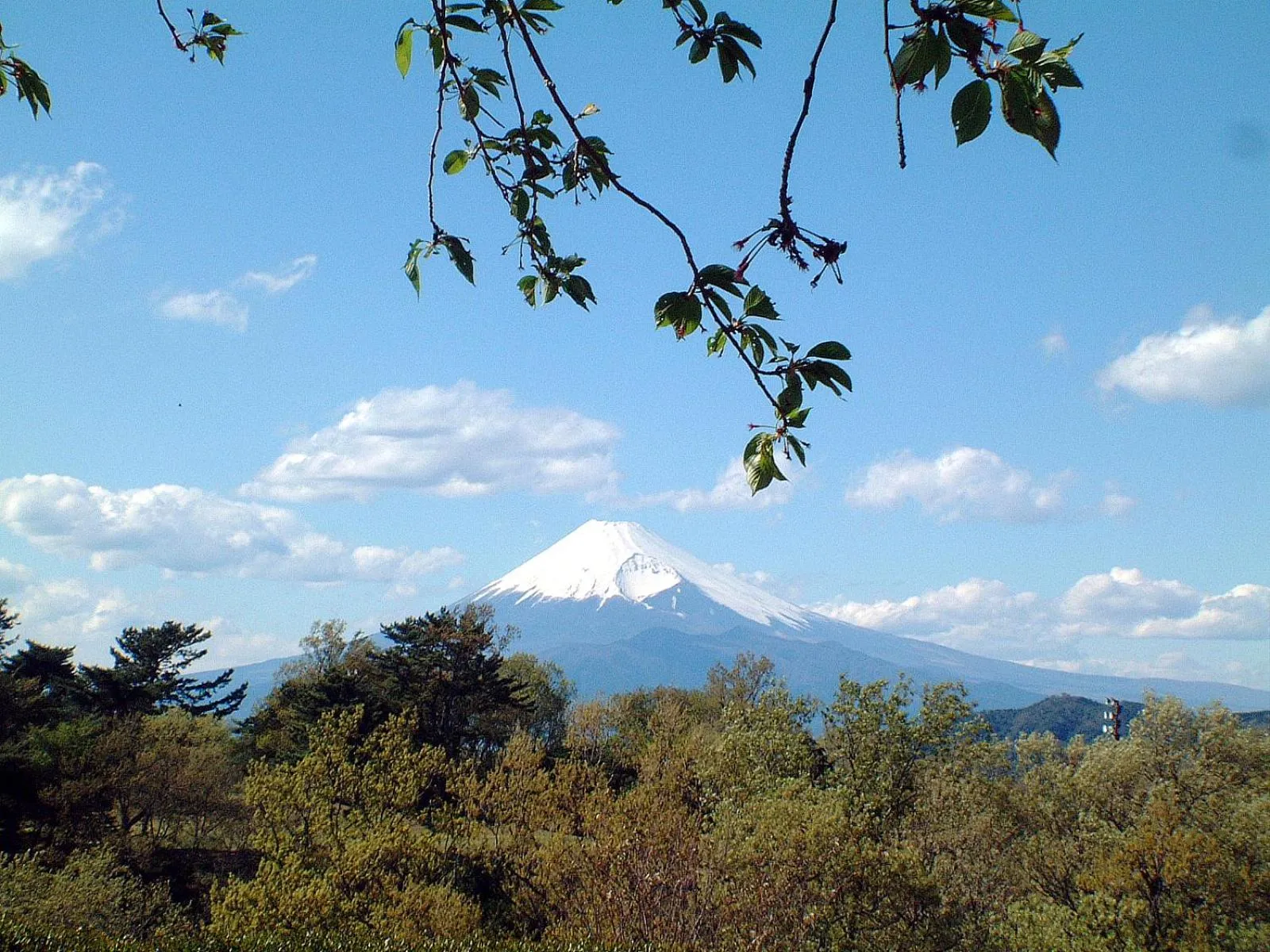 Day in Hotel Laforet Shuzenji
