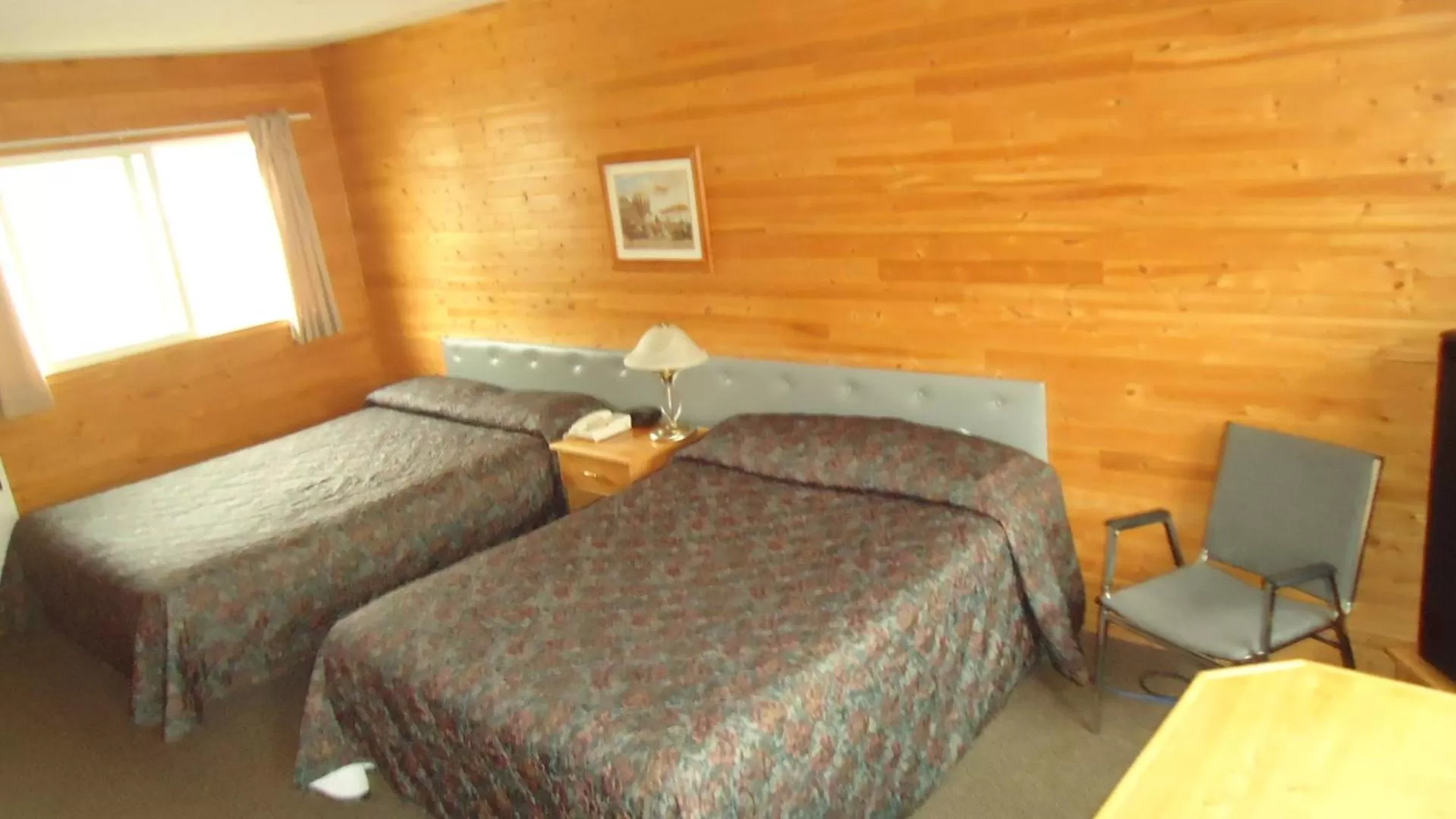 Bed in Dreamland Motel