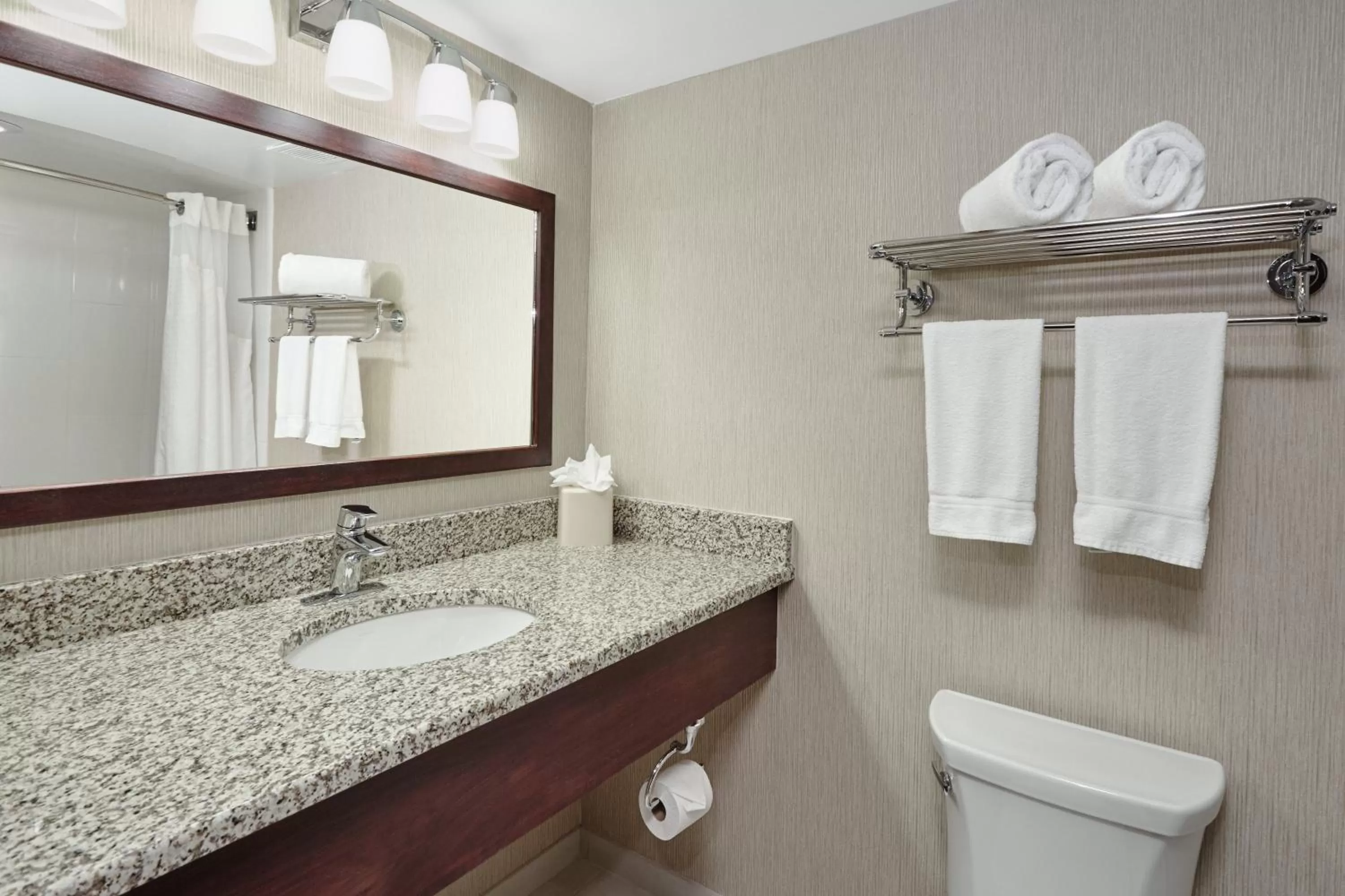 King Suite with Spa Bath - Non-Smoking in Holiday Inn & Suites Chicago-Carol Stream Wheaton, an IHG Hotel
