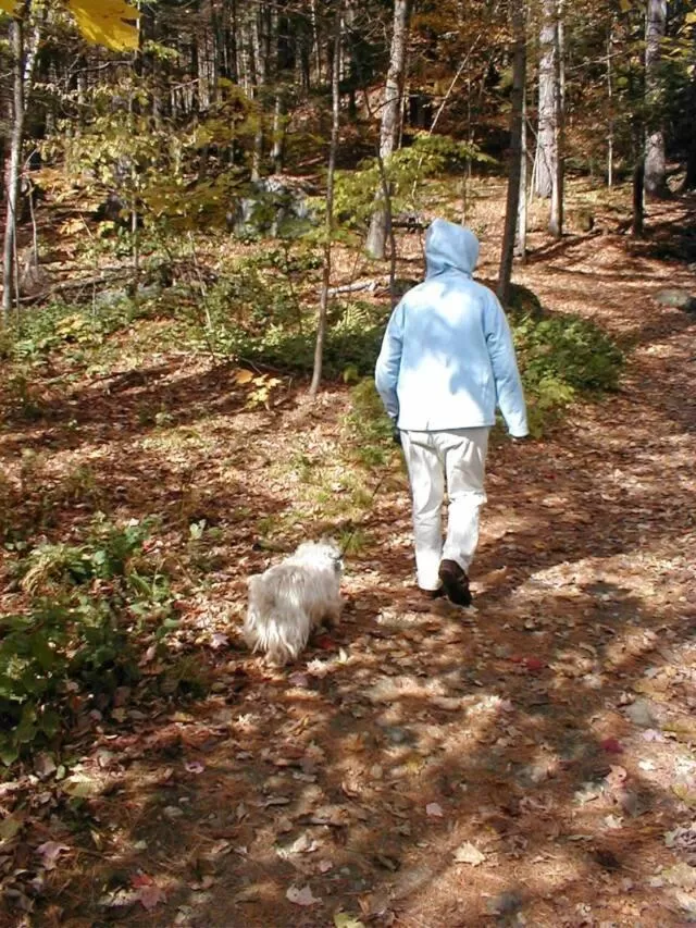 Area and facilities in Mountain Valley Retreat