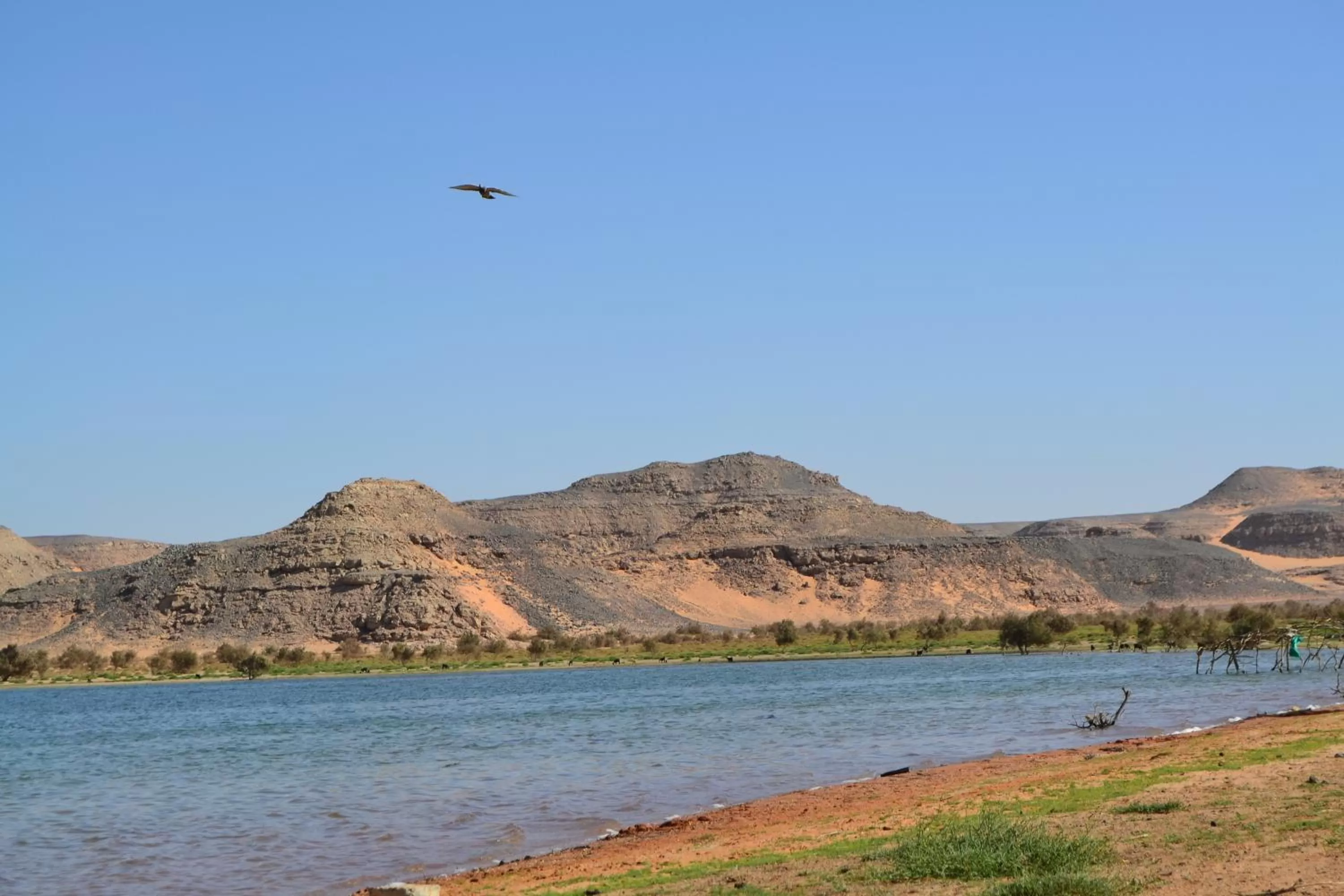 Natural landscape in Tuya Hotel