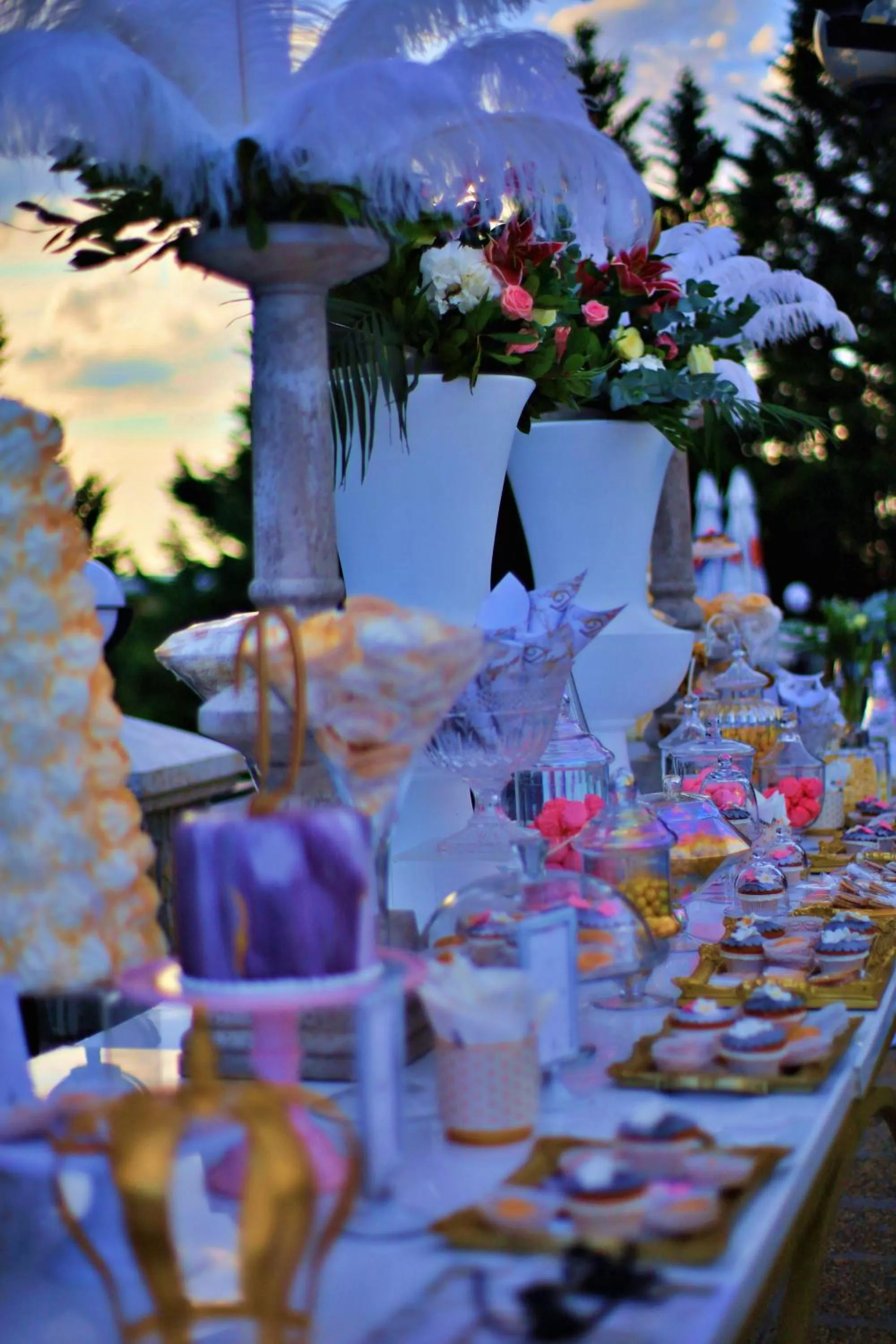 wedding in Hotel Αchillion Grevena