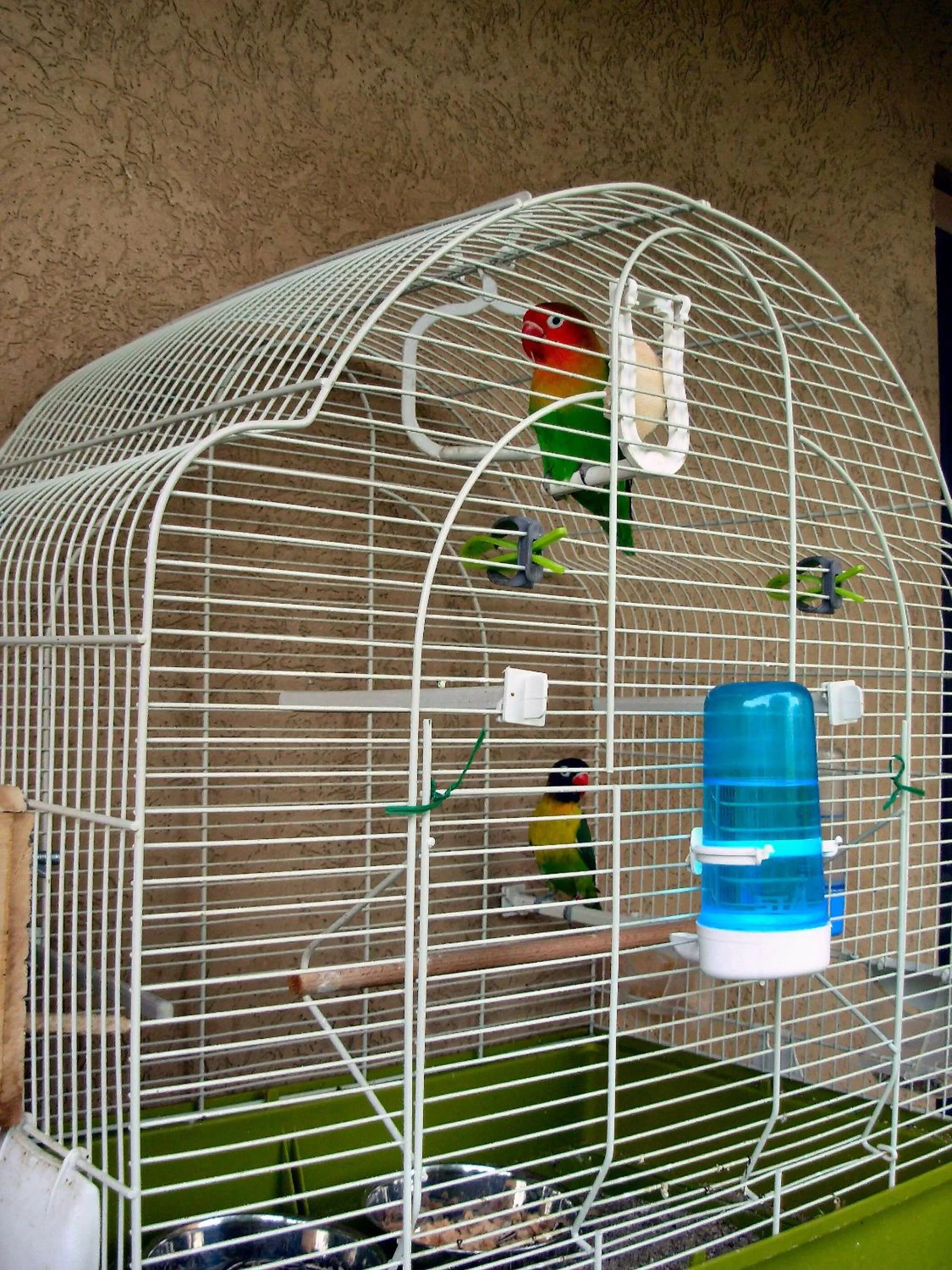 Pets in BED & BREAKFAST da marco