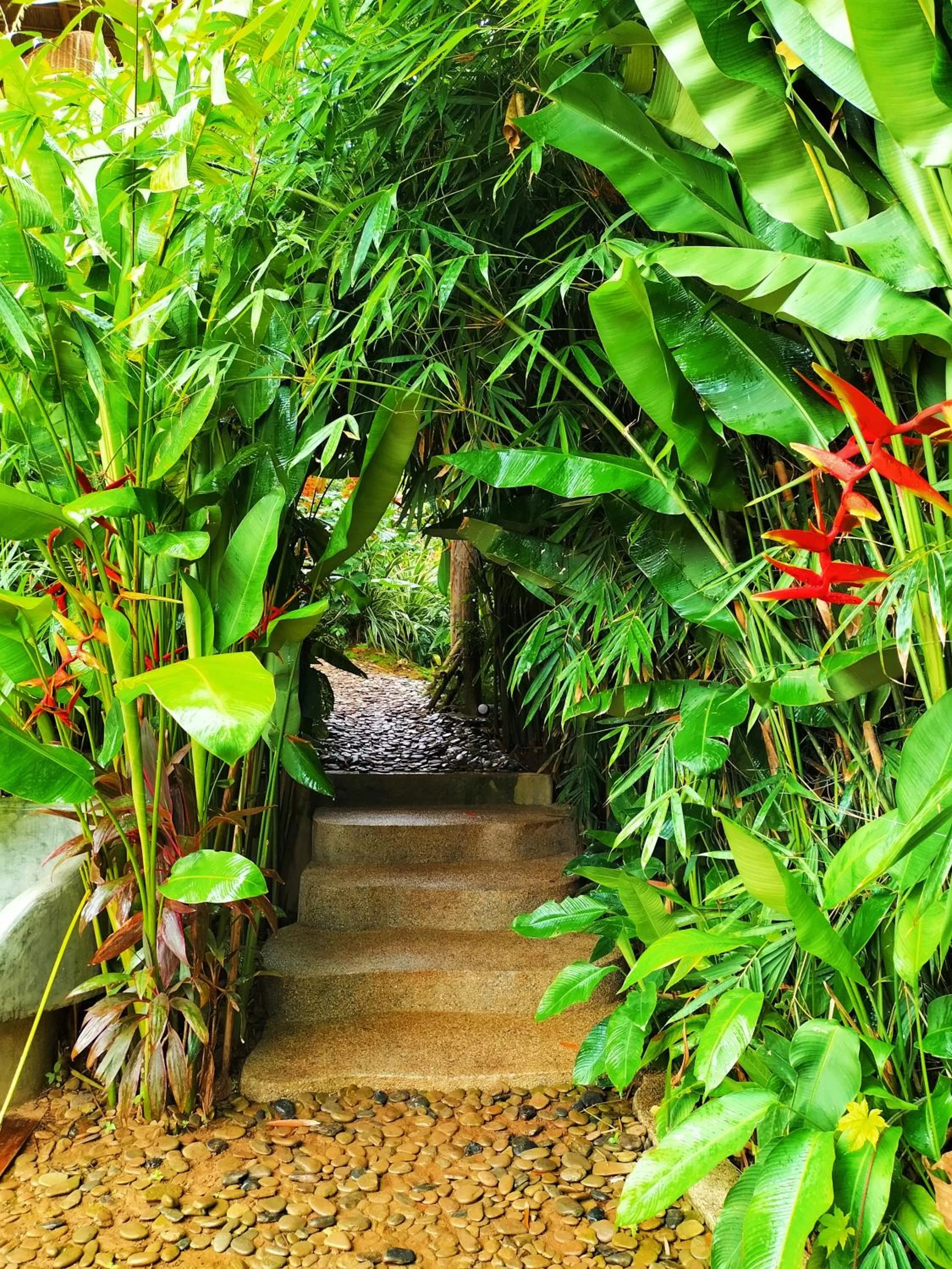 Property building in Terra Sancta Resort