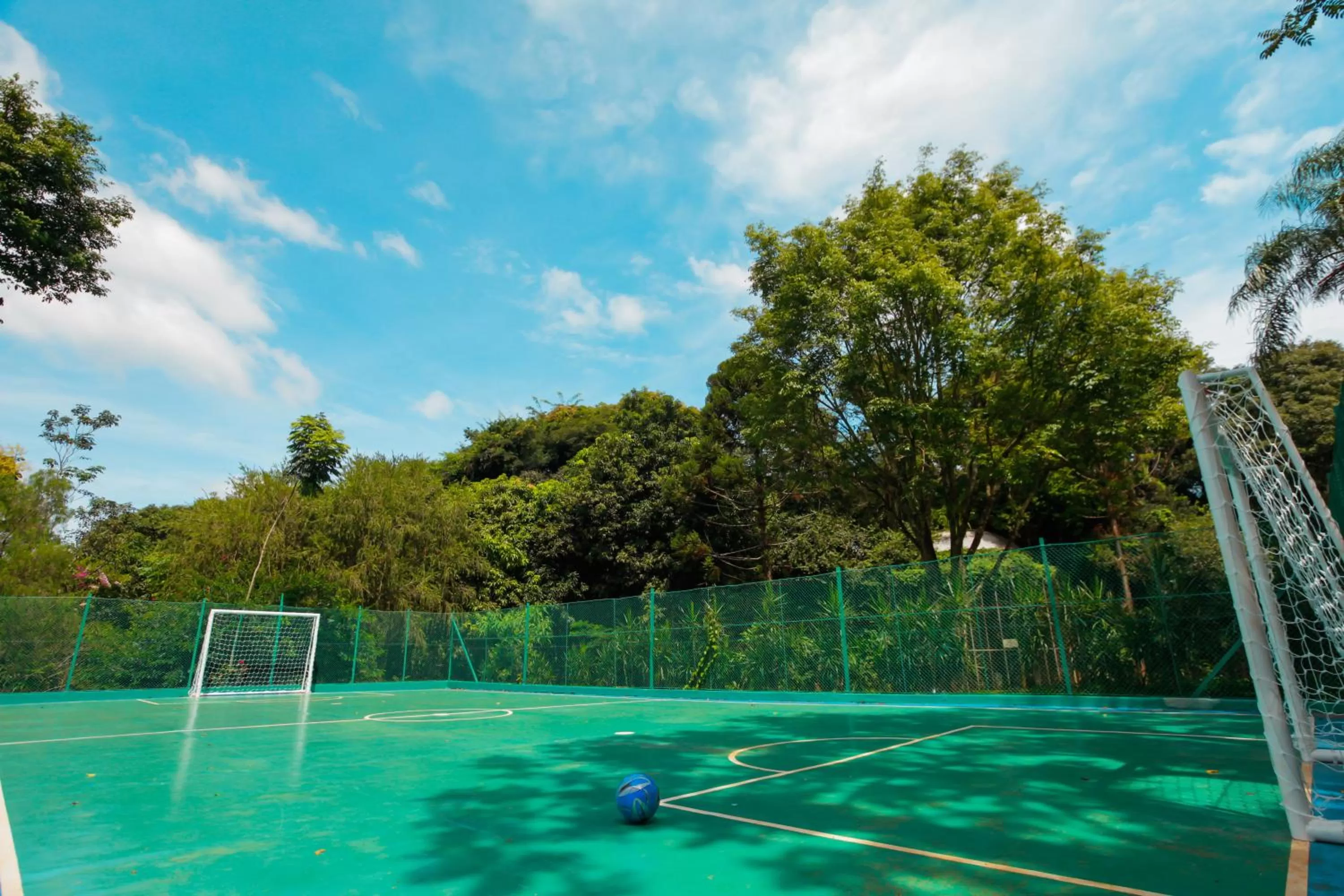 Activities in Vivaz Cataratas Hotel Resort