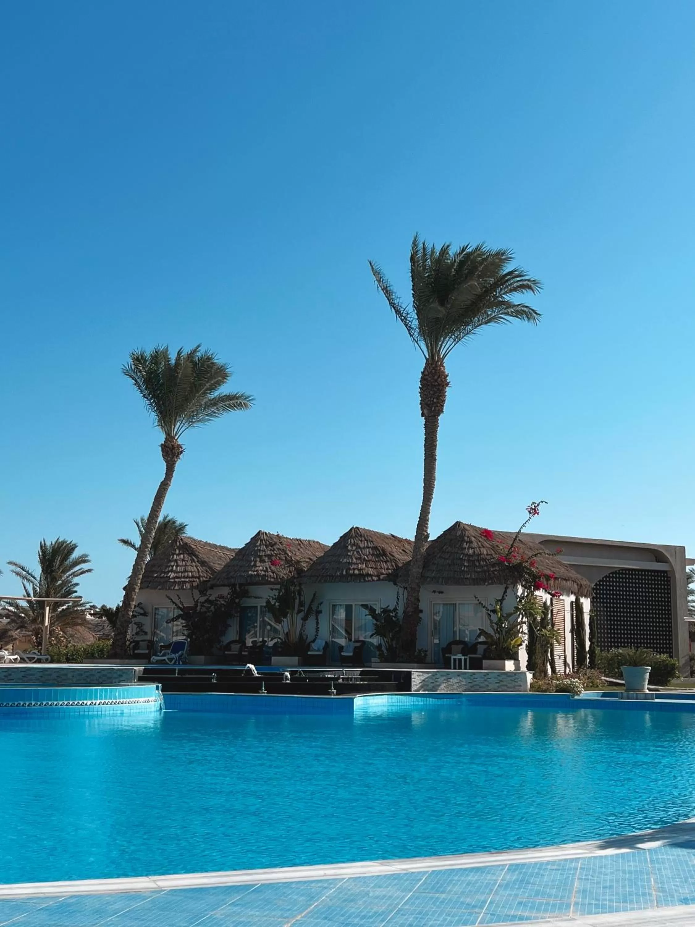 Pool view in Panorama Bungalows Resort El Gouna