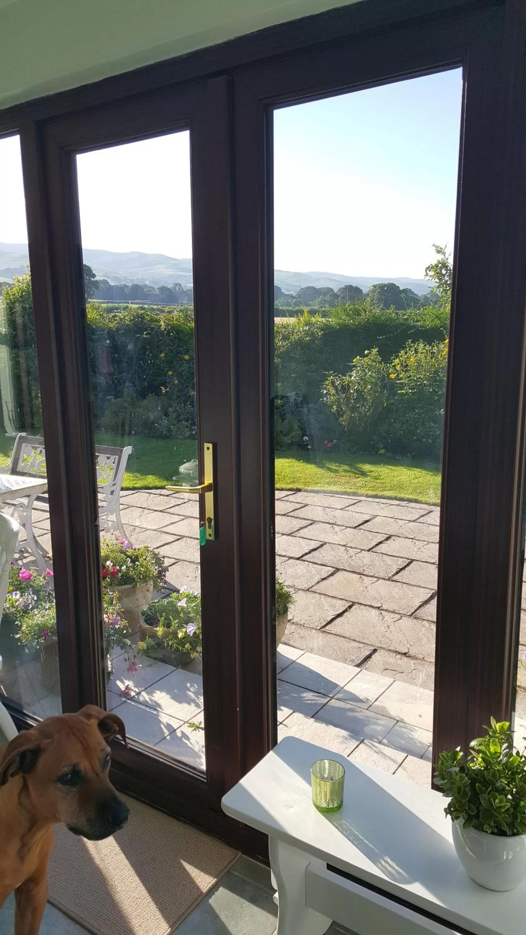 Dining area in Tall Trees