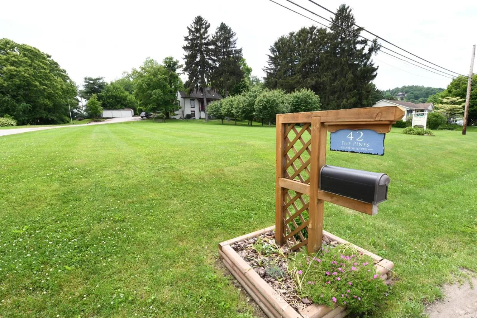 The Pines of Dresden