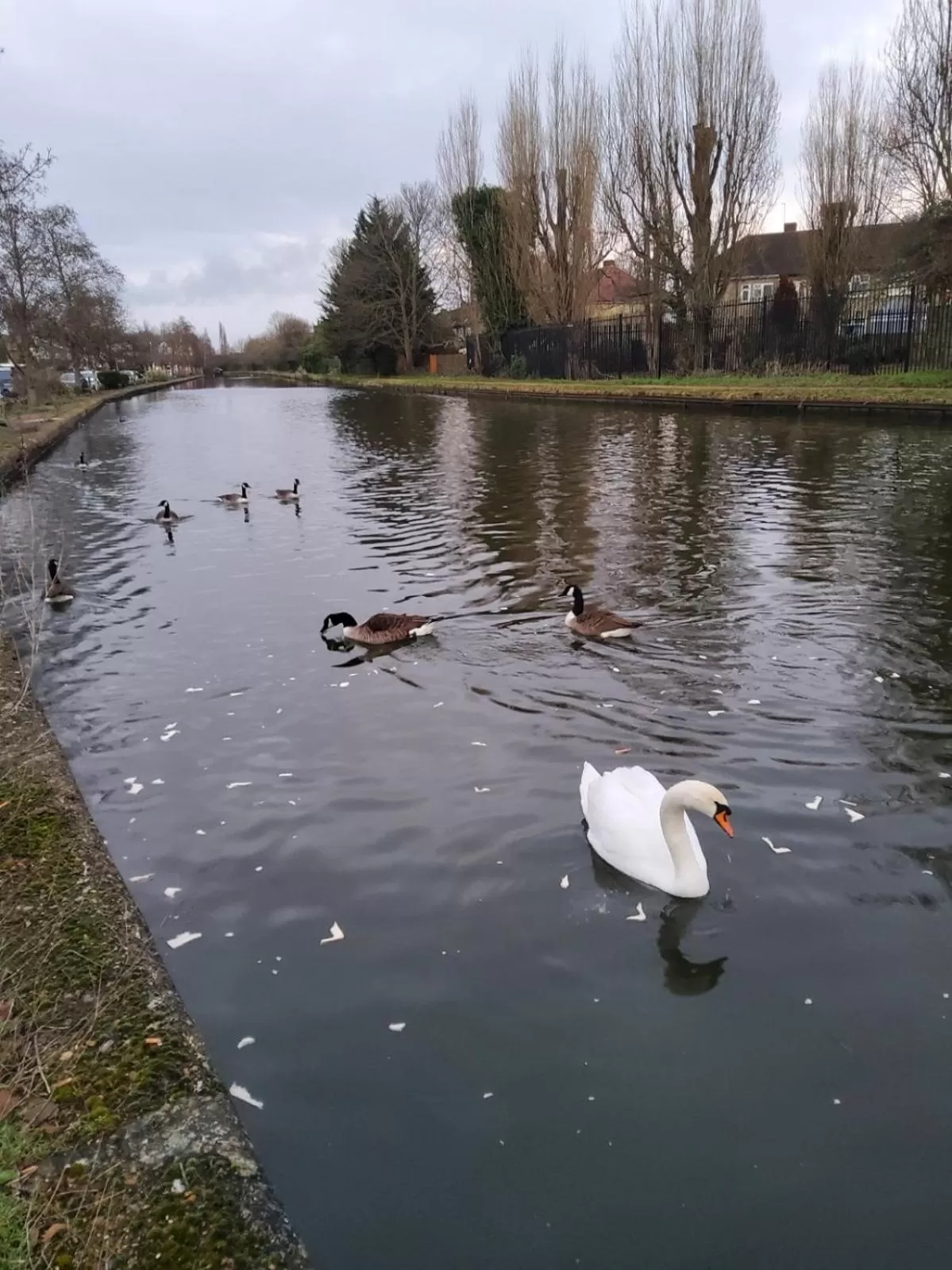 Natural landscape, Other Animals in Double Bedroom w Ensuite Bathroom Near Grand Union Canal for Family and Friends