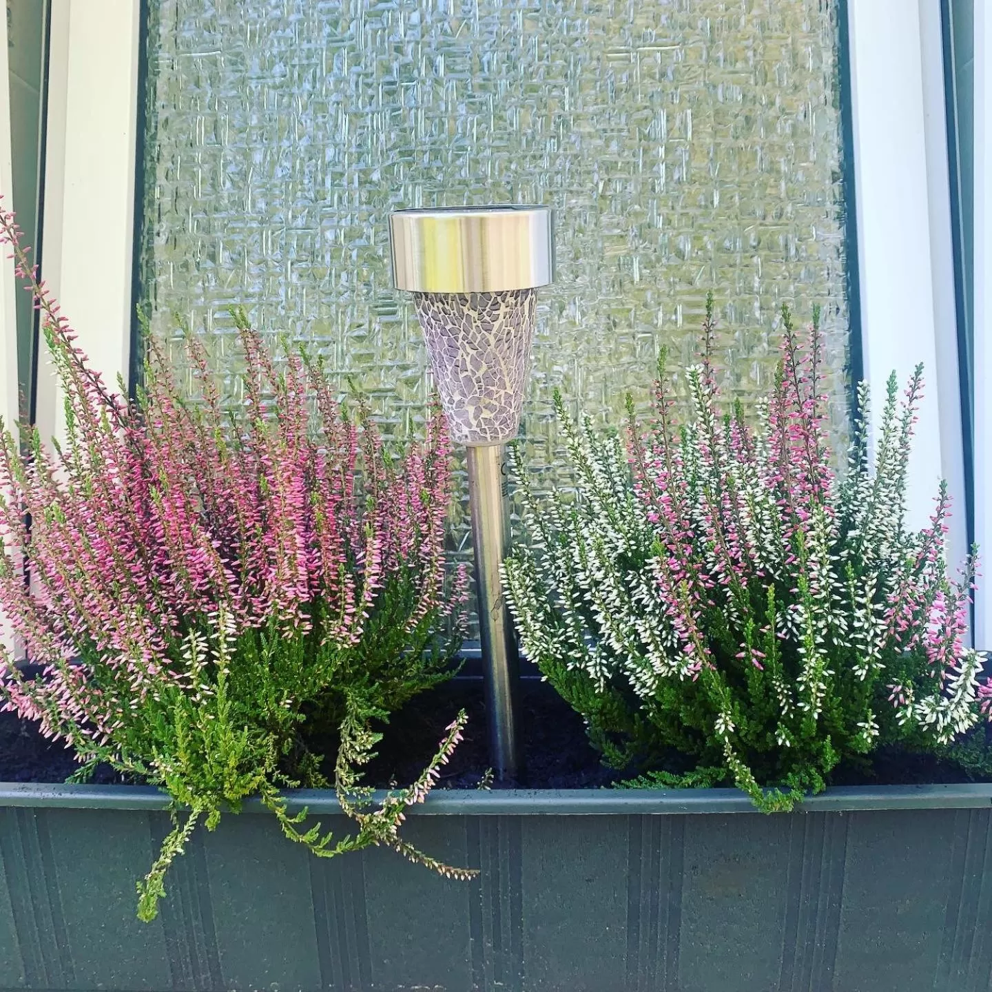Property building in Hotel & Restaurant Rosenhof