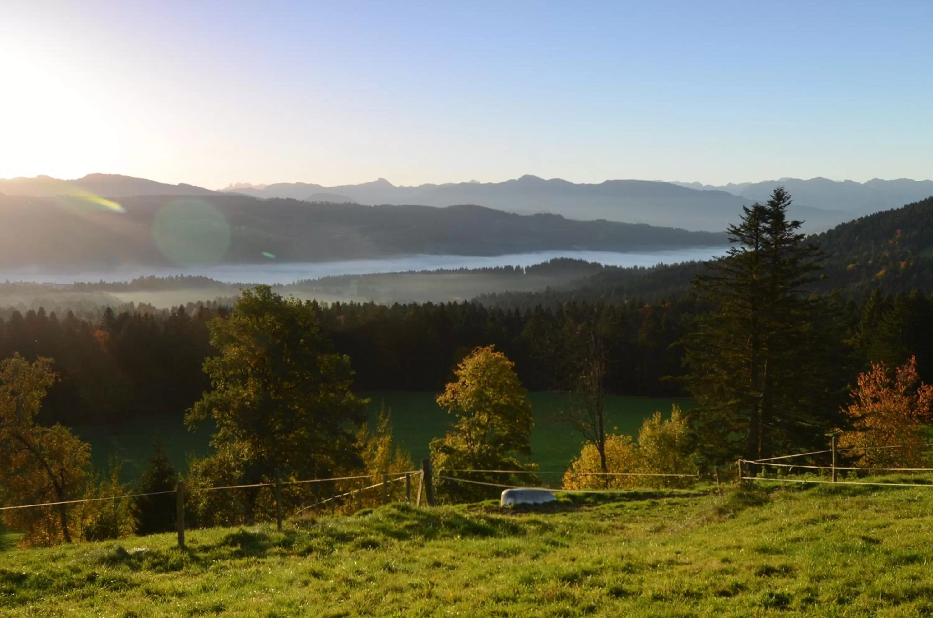 Natural landscape in Hotel Post