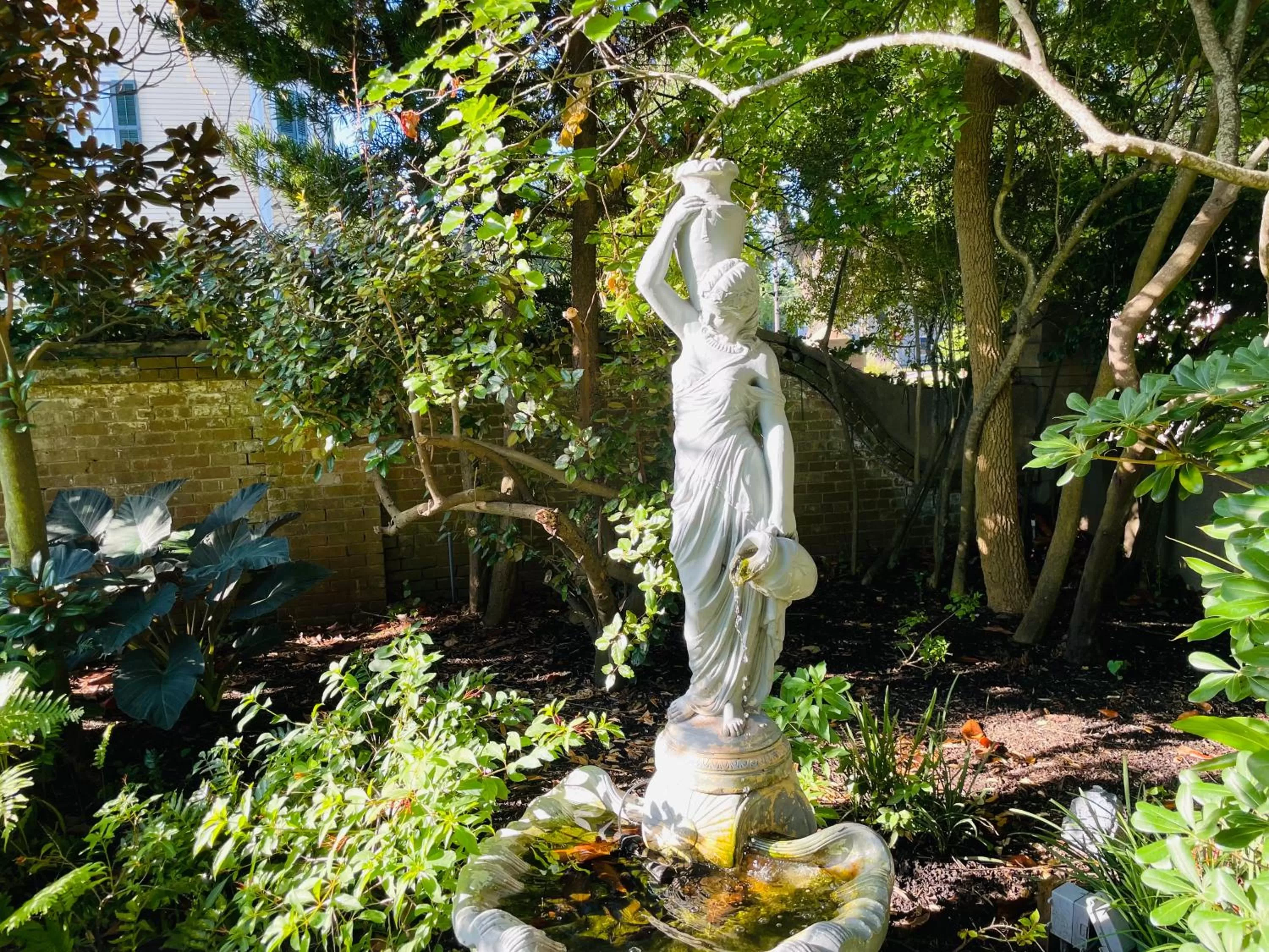 Other Animals in Virginia Point INN