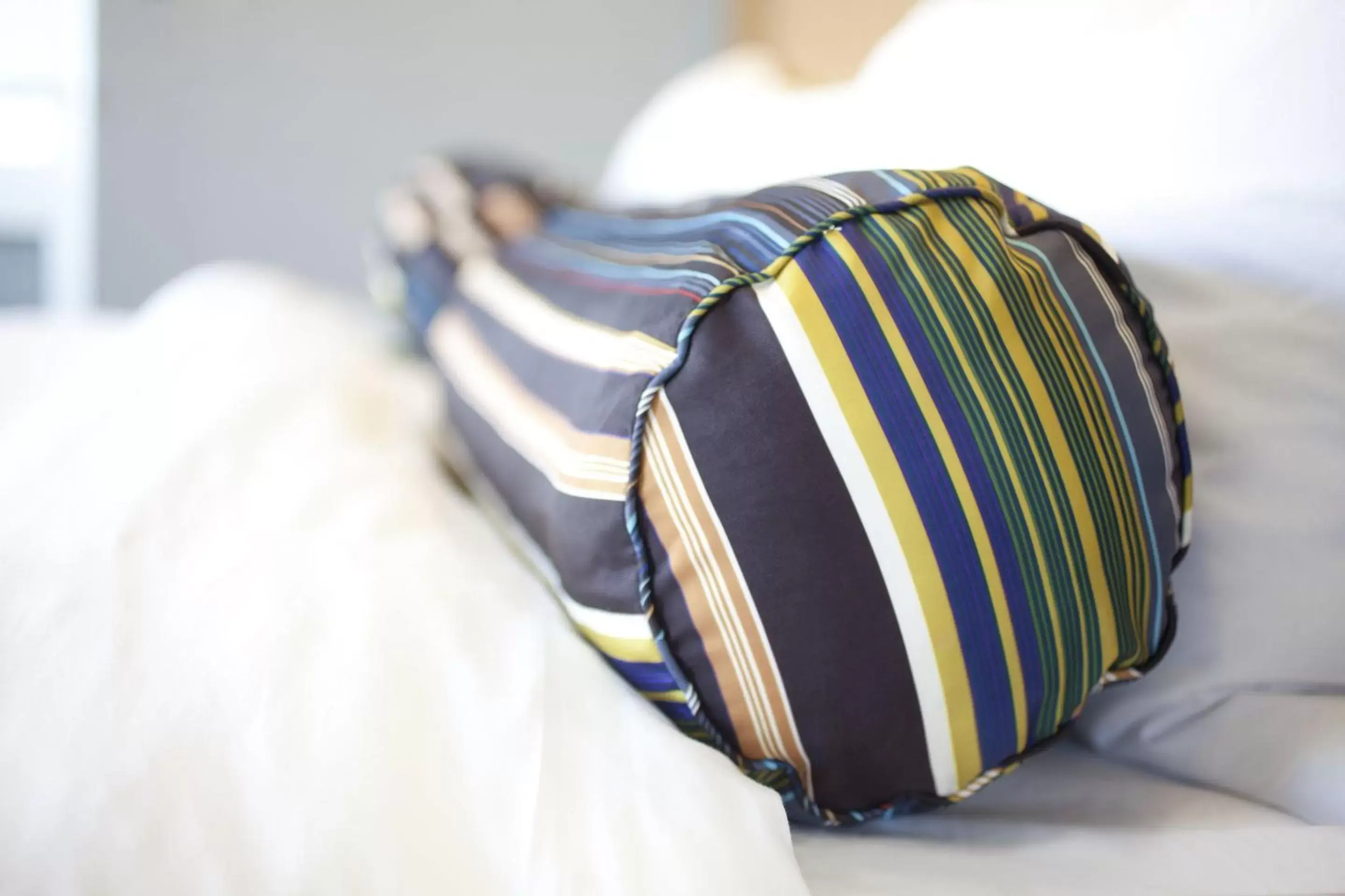 Aloft San Francisco Airport Aloft San Francisco Airport