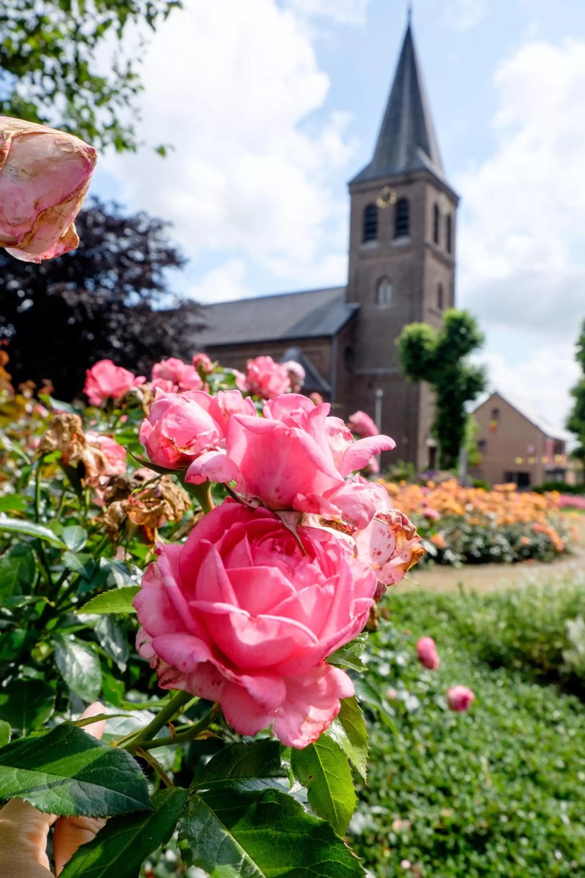 Neighbourhood in B&B Orgel Thuis