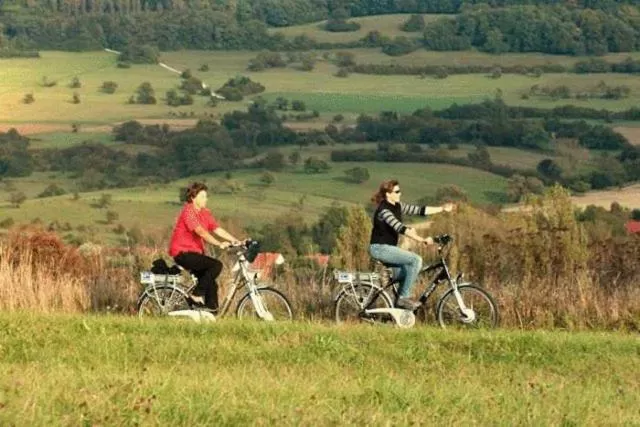 Cycling in Hotel Bliesbrück