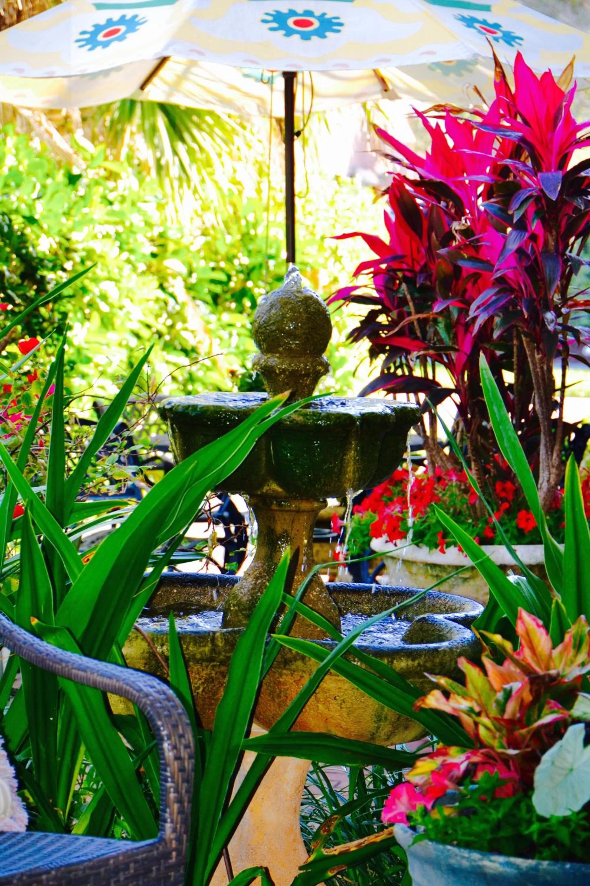 Property building in Sea Turtle Inn