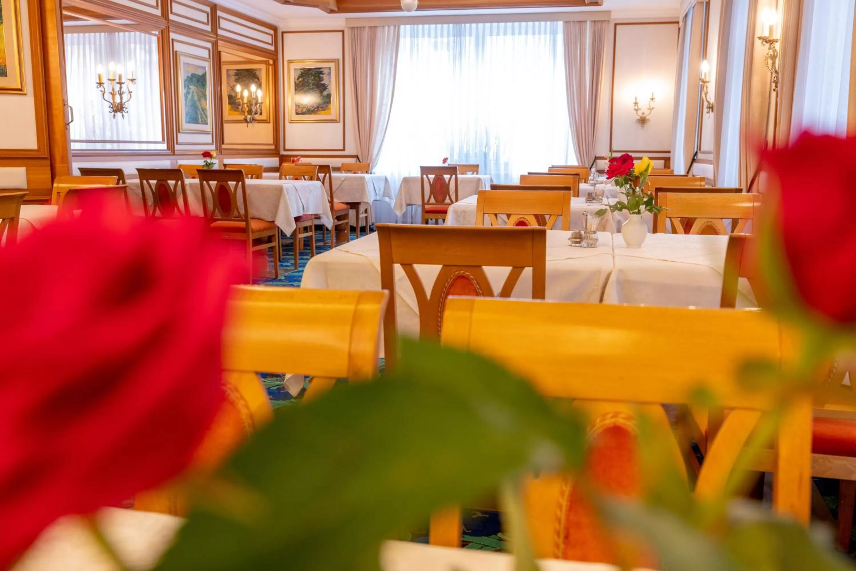Restaurant/places to eat in Hotel Scherer