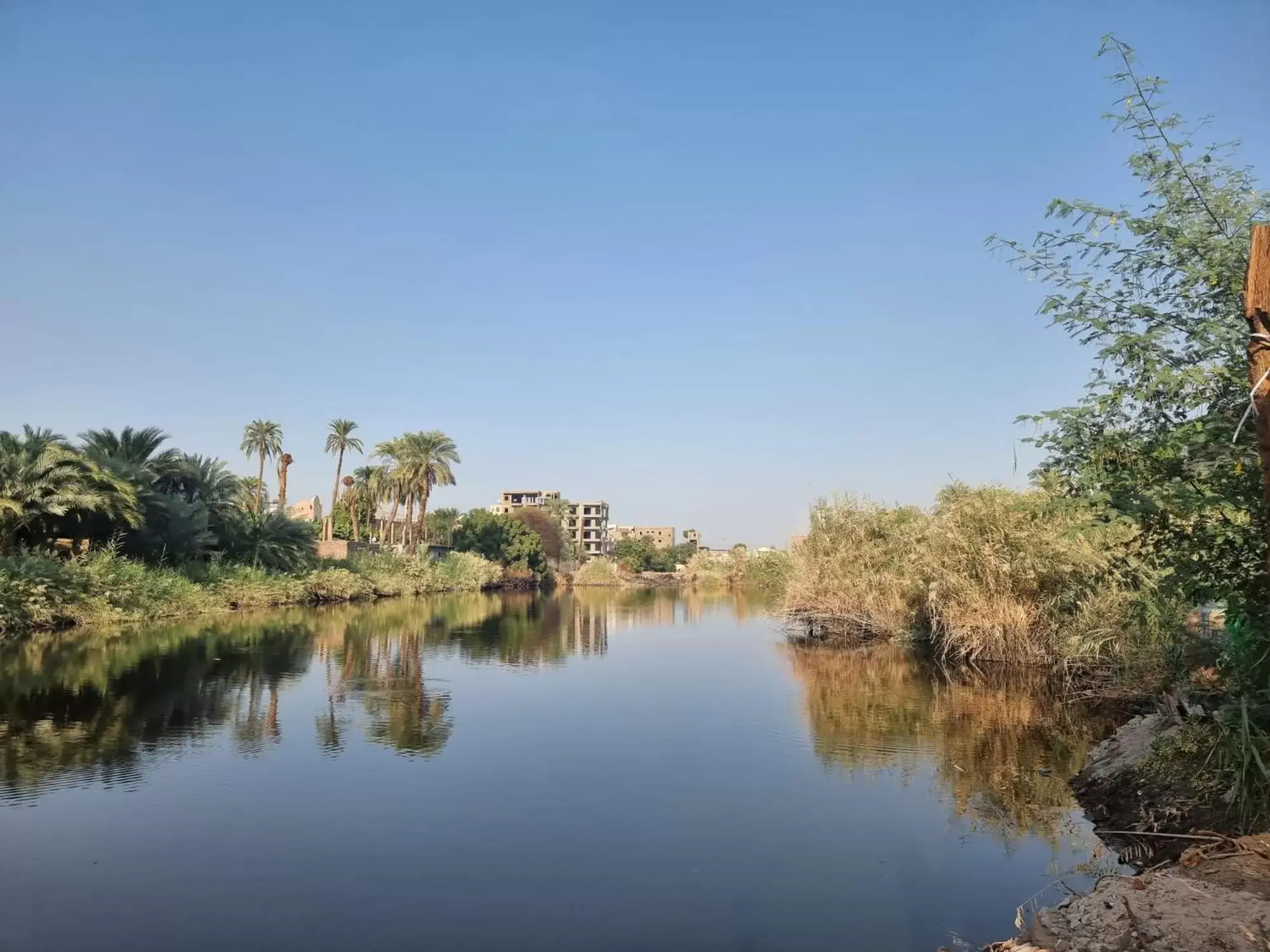 Deluxe Double Room in Luxor Old Nile Hotel Deluxe Double Room in Luxor Old Nile Hotel