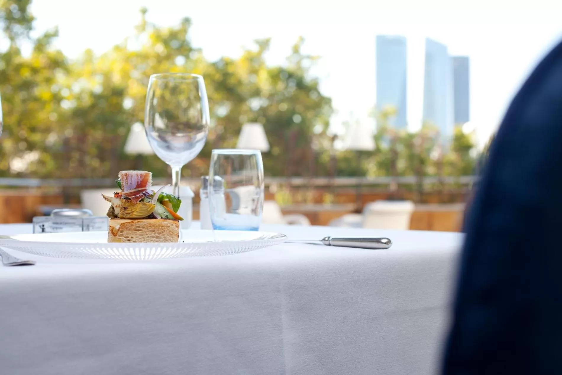 Restaurant/places to eat in Hotel Villamadrid