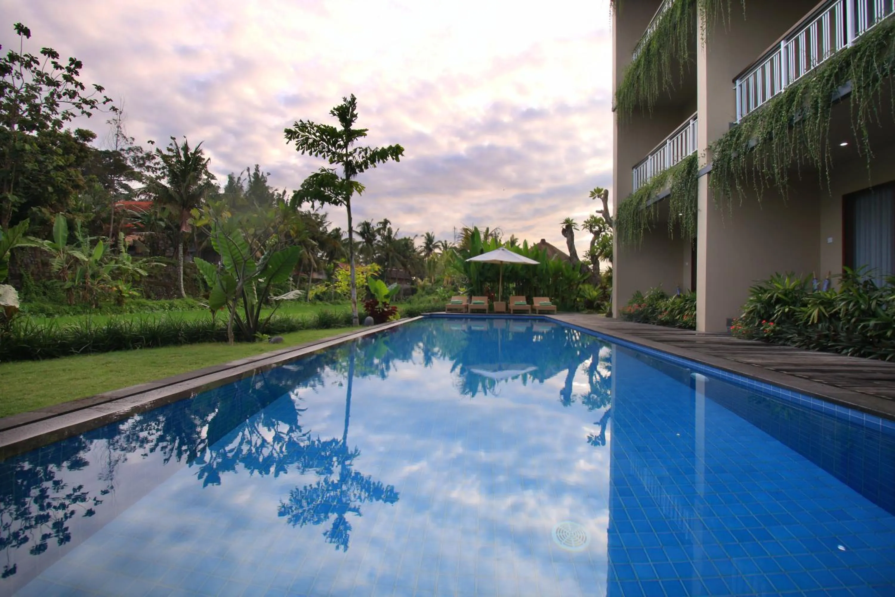 Swimming pool in Byasa Ubud